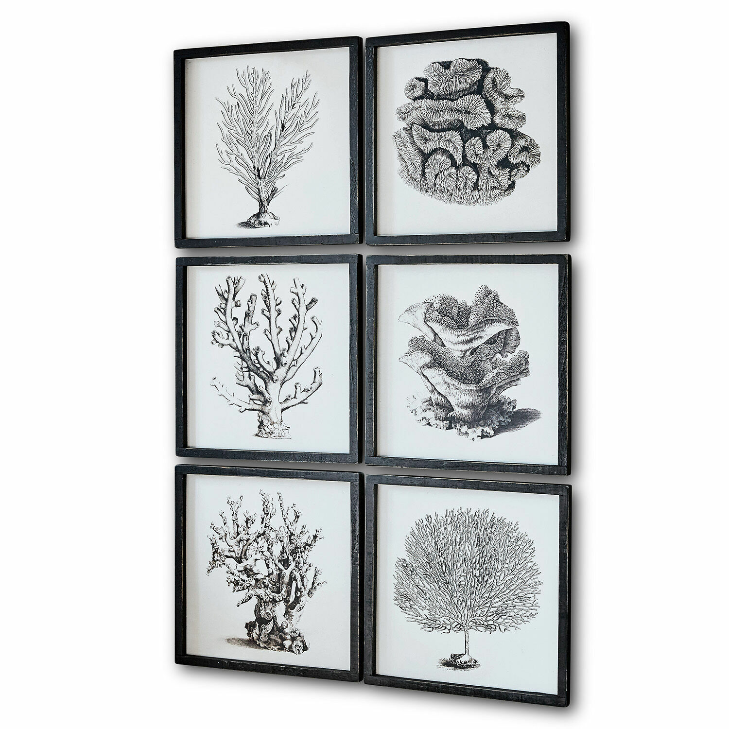 Lot de 6 tableaux Darney