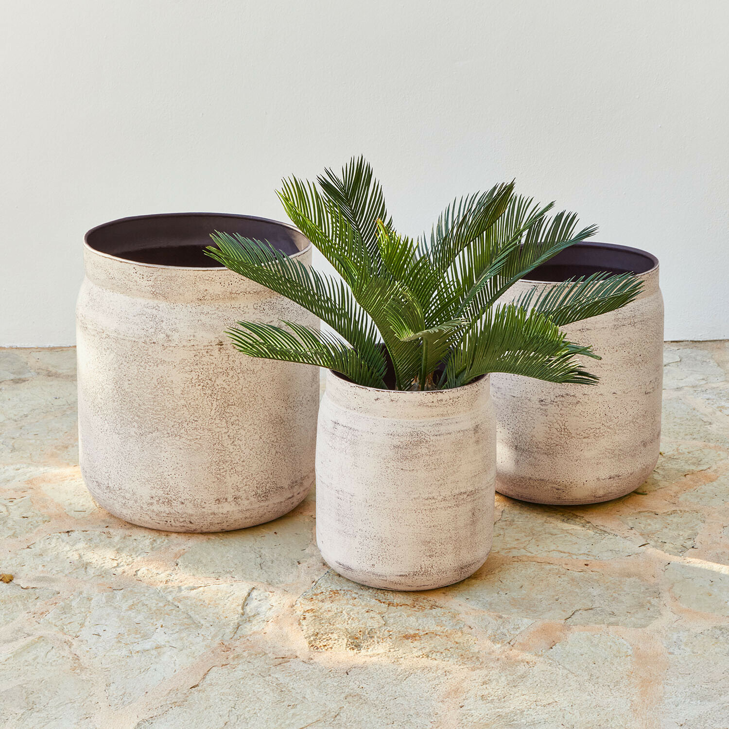 Ensemble de trois grands pots en céramique claire au style rustique avec plante verte