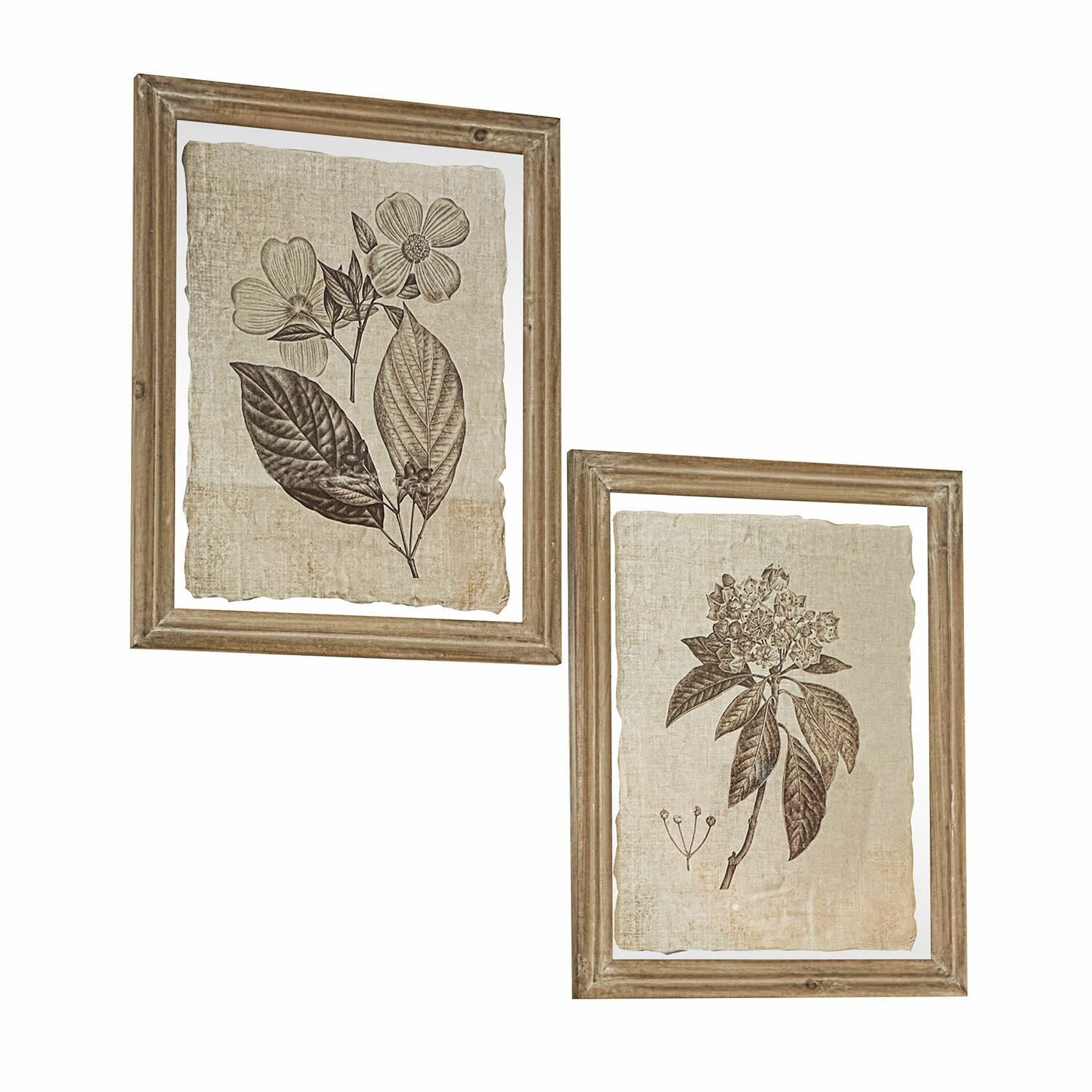 Lot de 2 tableaux Guyra