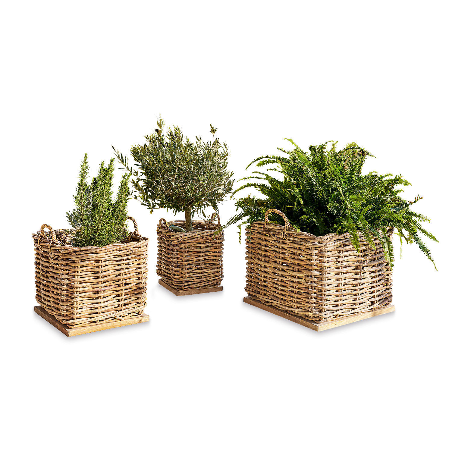 Lot de 3 paniers Chalet Ensemble de trois paniers en osier naturel avec plantes vertes pour décoration intérieure et extérieure