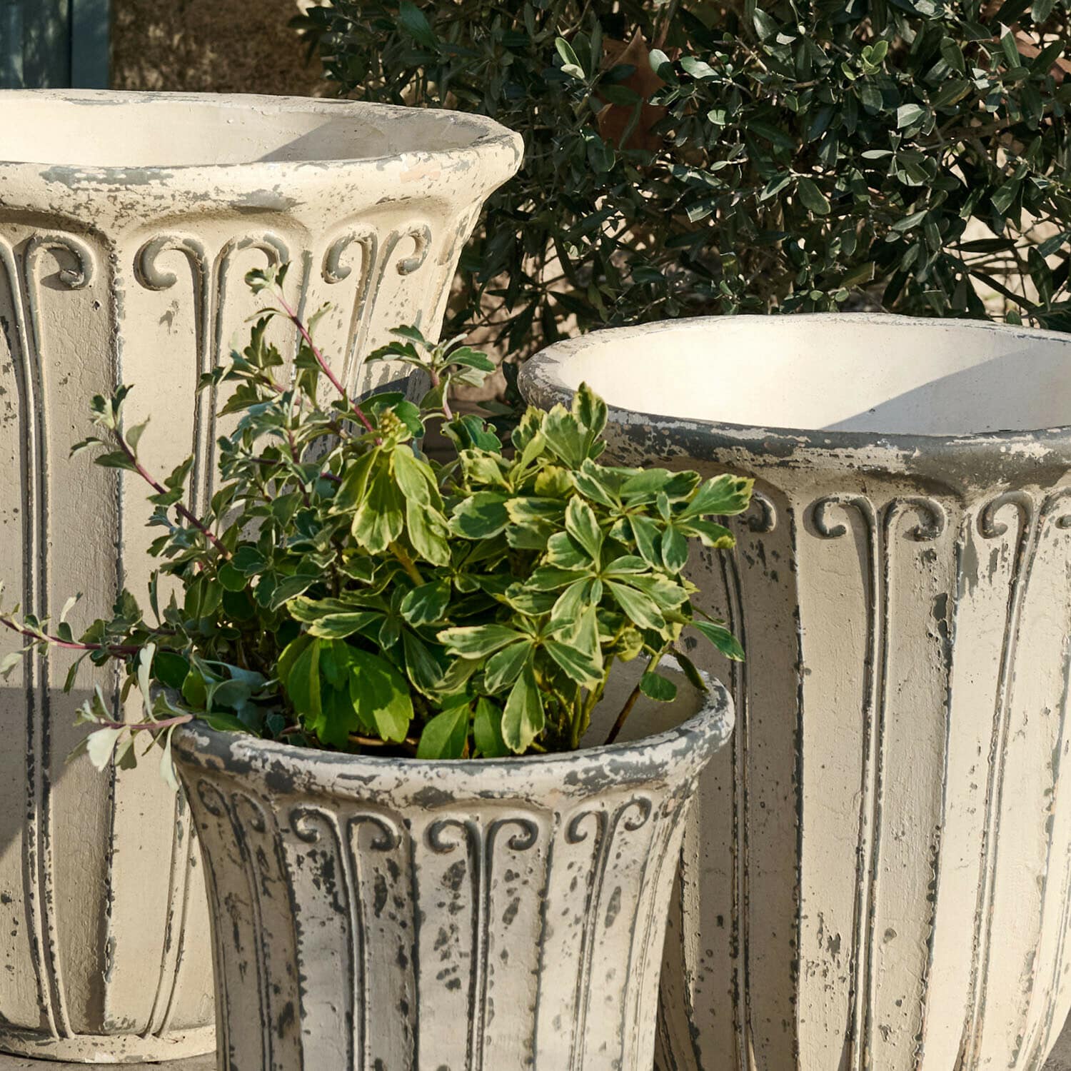 Lot de 3 cache-pots Méravon