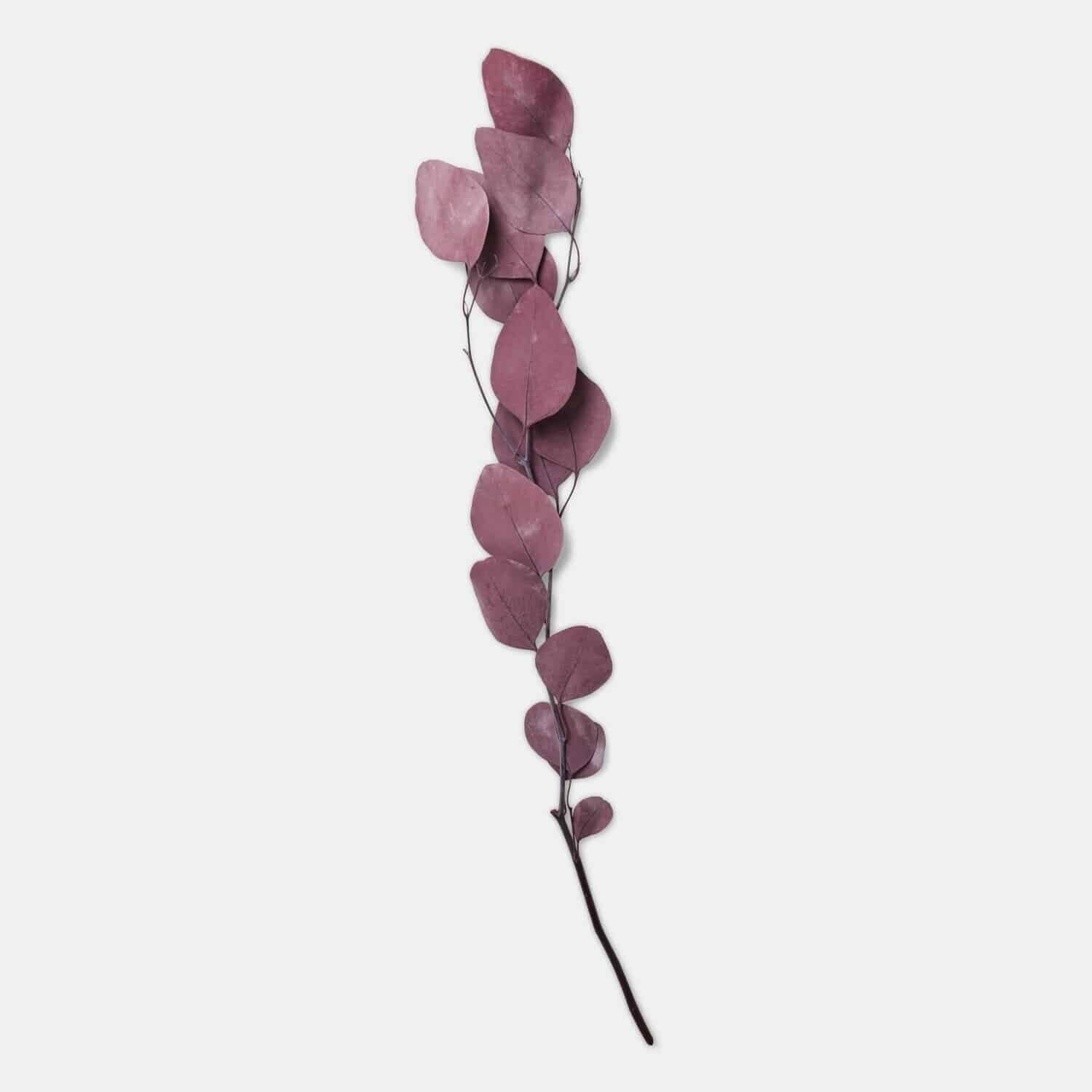 Fleur décorative Ianthee