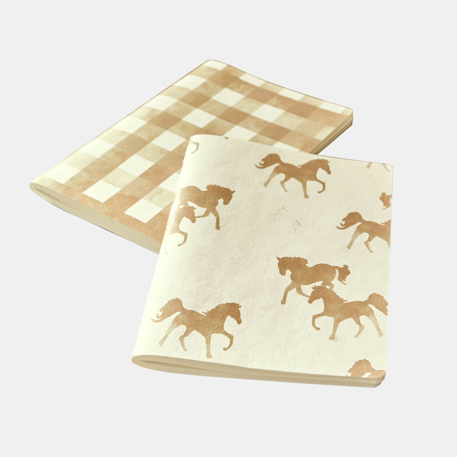Lot de 2 carnets Windermay