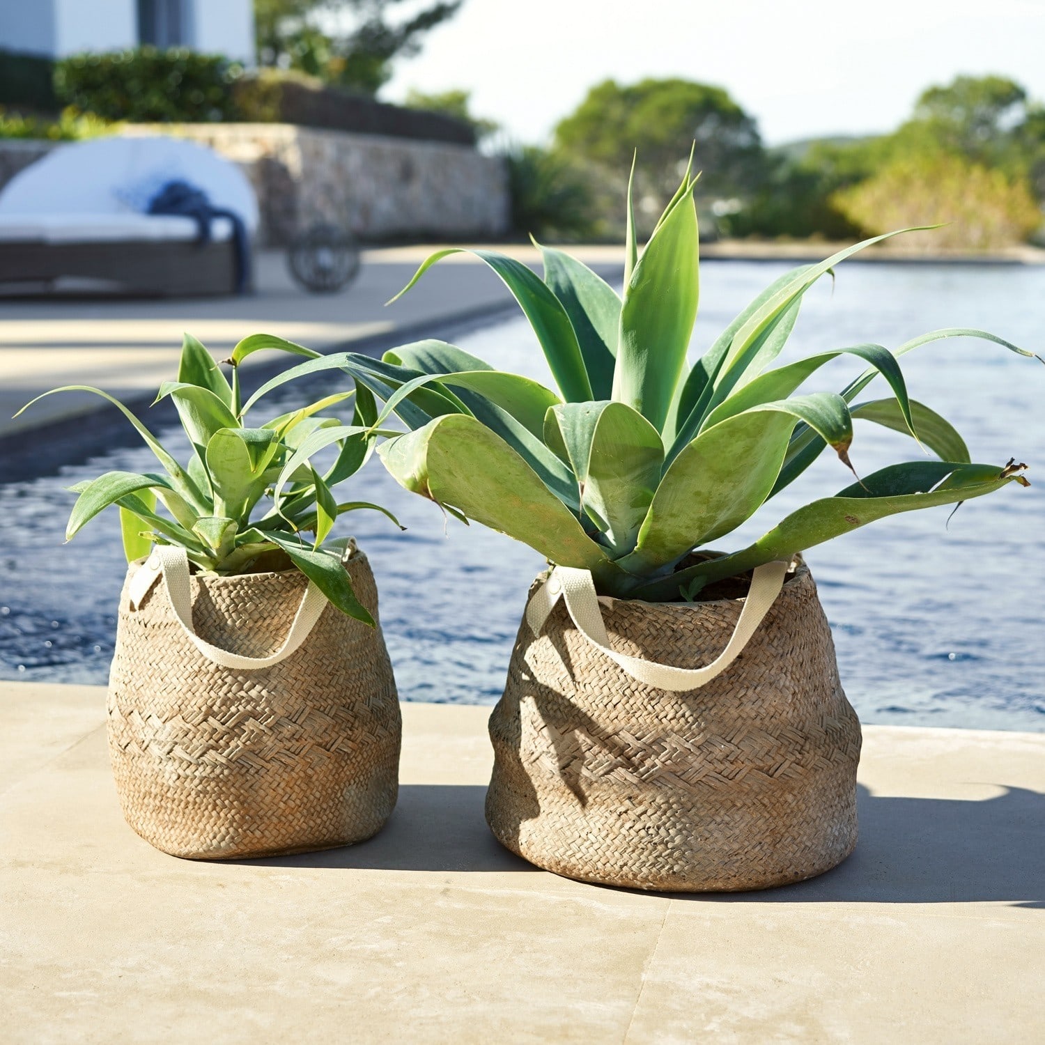 Lot de 2 cache-pots Mandella