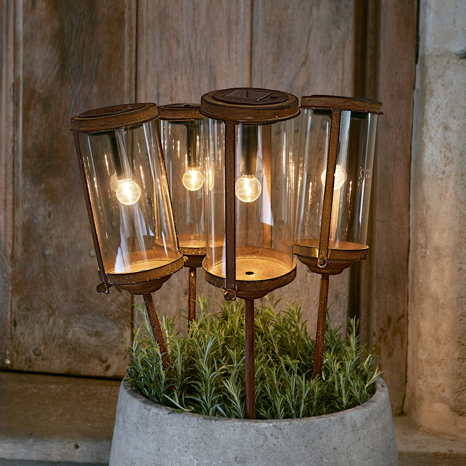 Ensemble de quatre lanternes en métal rouillé avec abat-jours en verre dans un pot avec plantes vertes