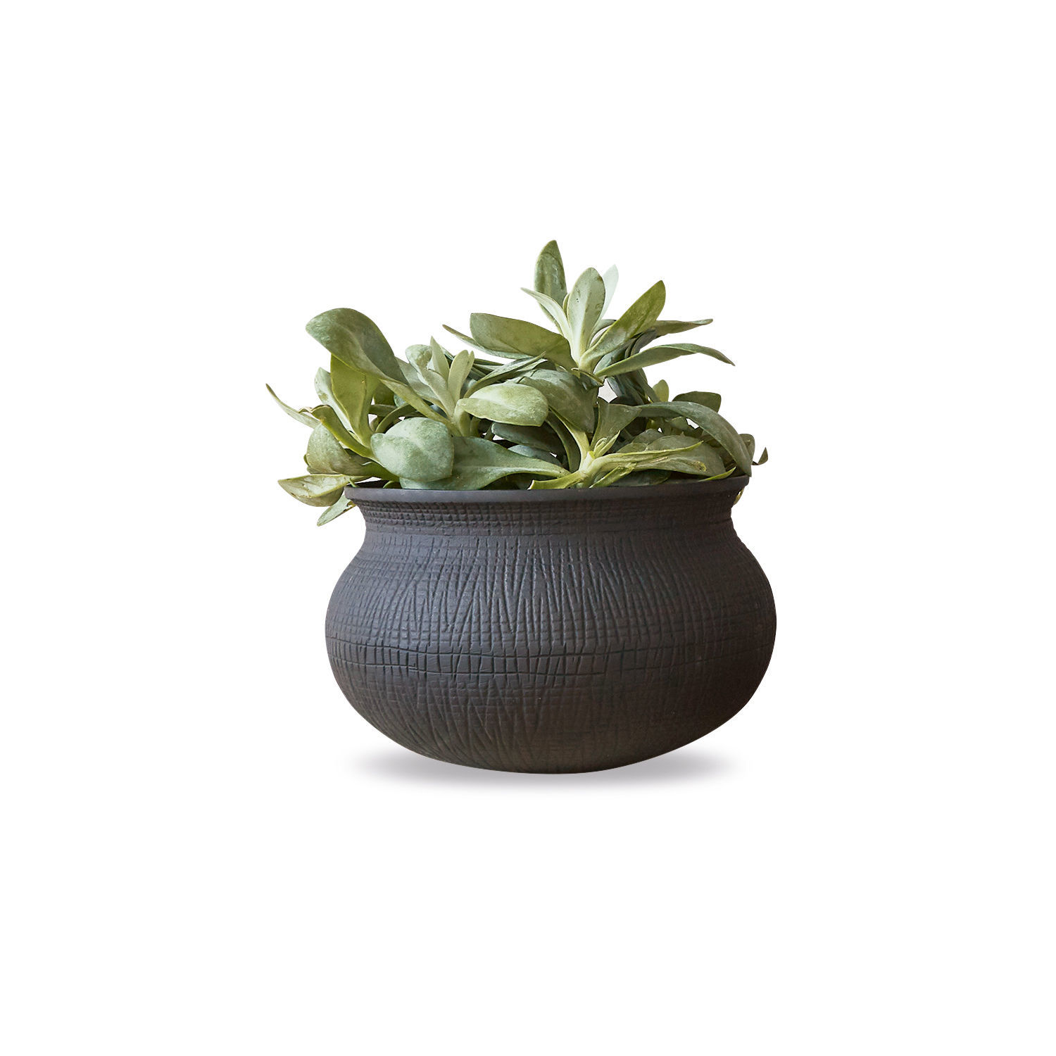 Cache-pot Bougenais