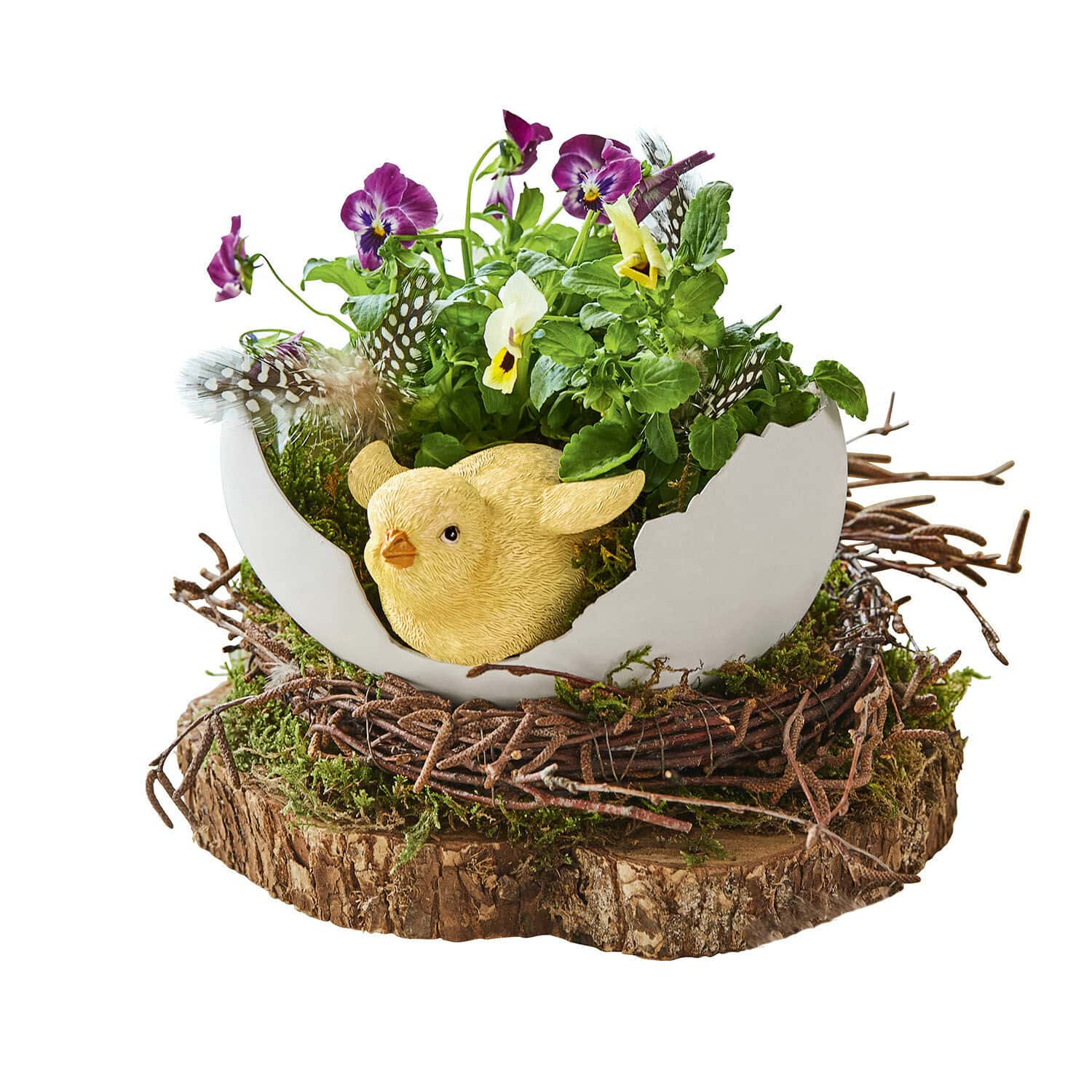 Coupe décorative Alfie