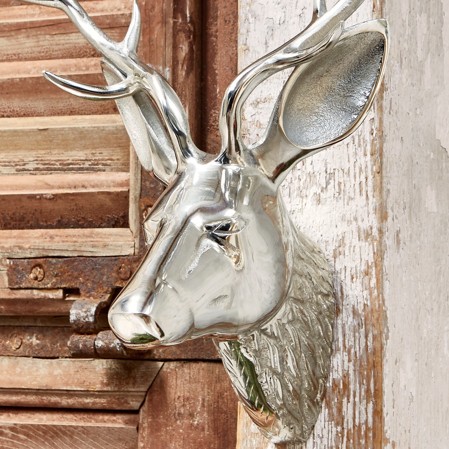 Tête de cerf Mailé