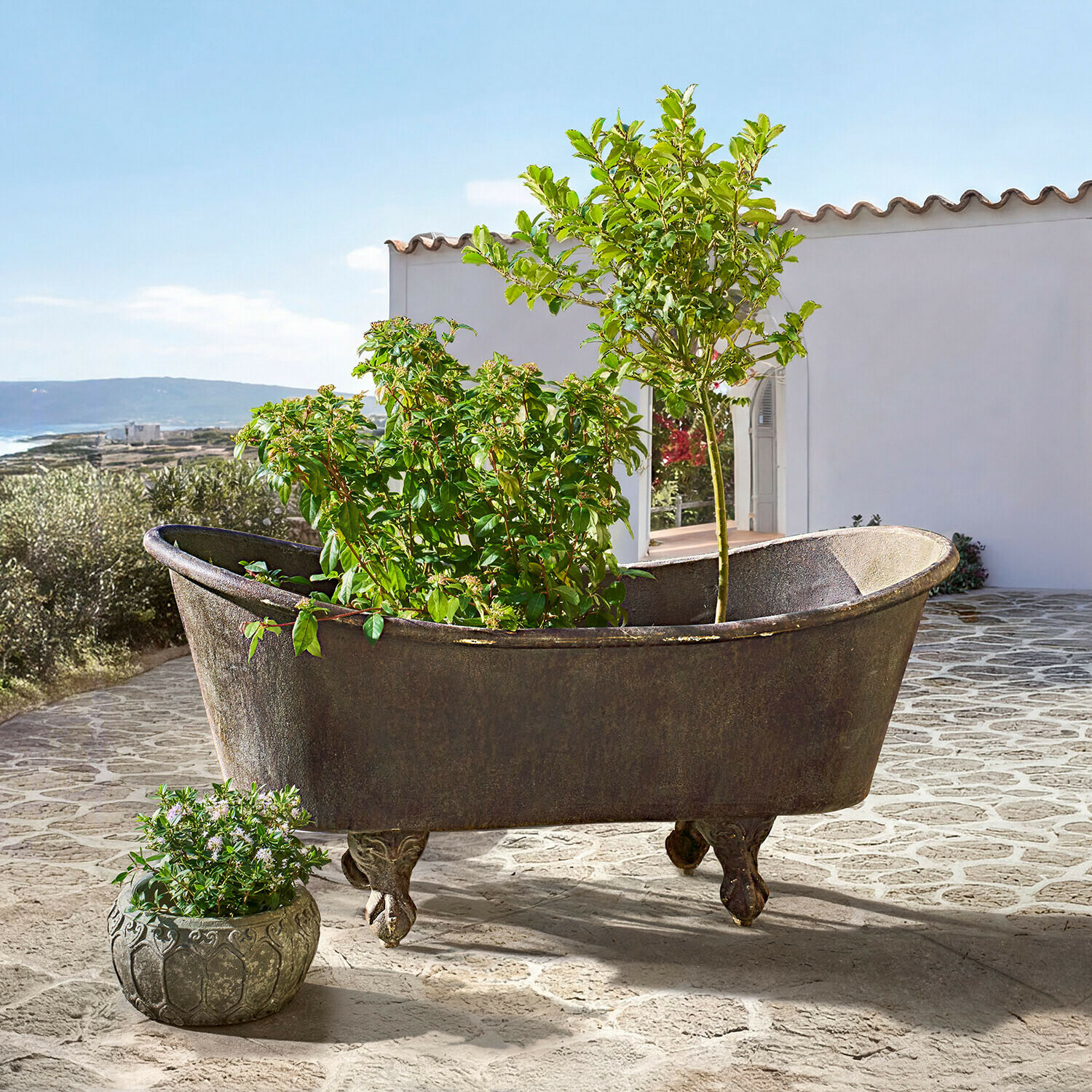 Baignoire décorative Brånholm Ancienne baignoire en fonte avec pieds sculptés utilisée comme jardinière avec plantes vertes sur une terrasse
