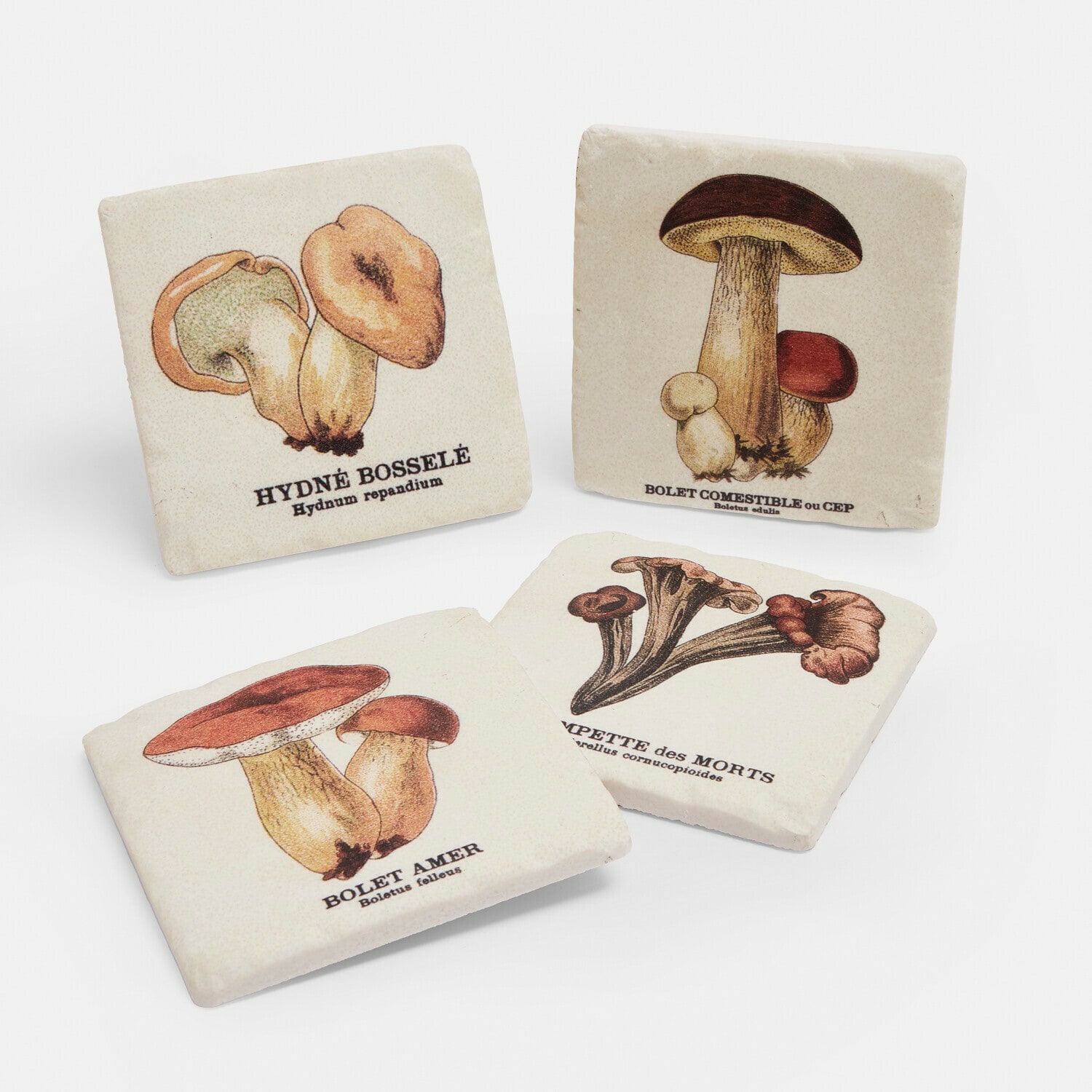 Lot de 4 sous-verres Jandoria