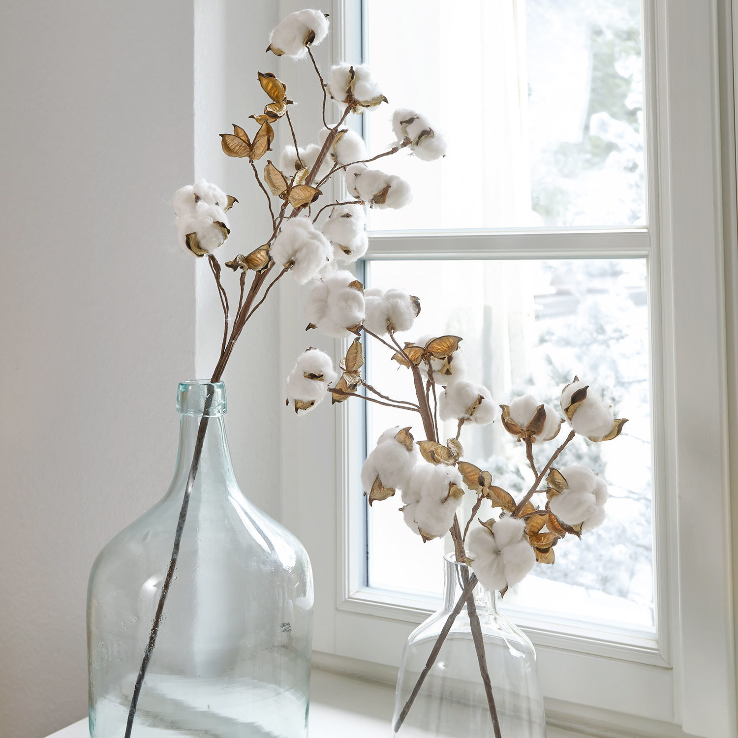 Lot de 3 tiges Sauves Branches décoratives de coton dans des vases en verre transparent sur le rebord de la fenêtre
