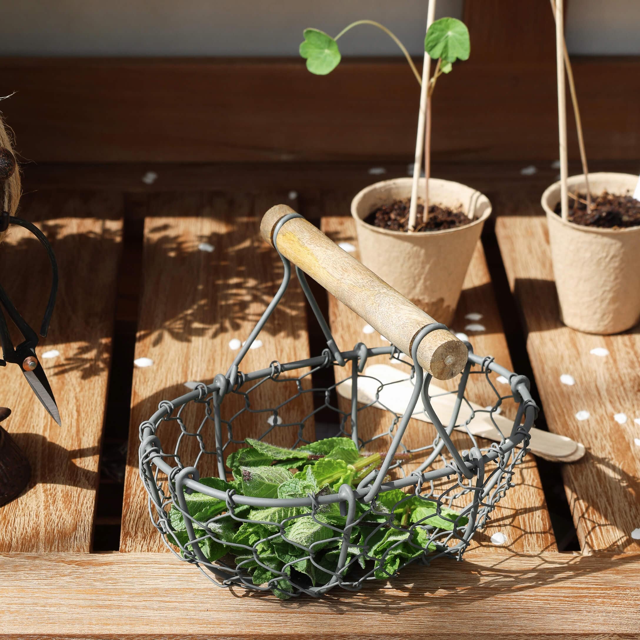 Panier en métal avec poignée en bois contenant des feuilles vertes sur une table en bois pour jardin