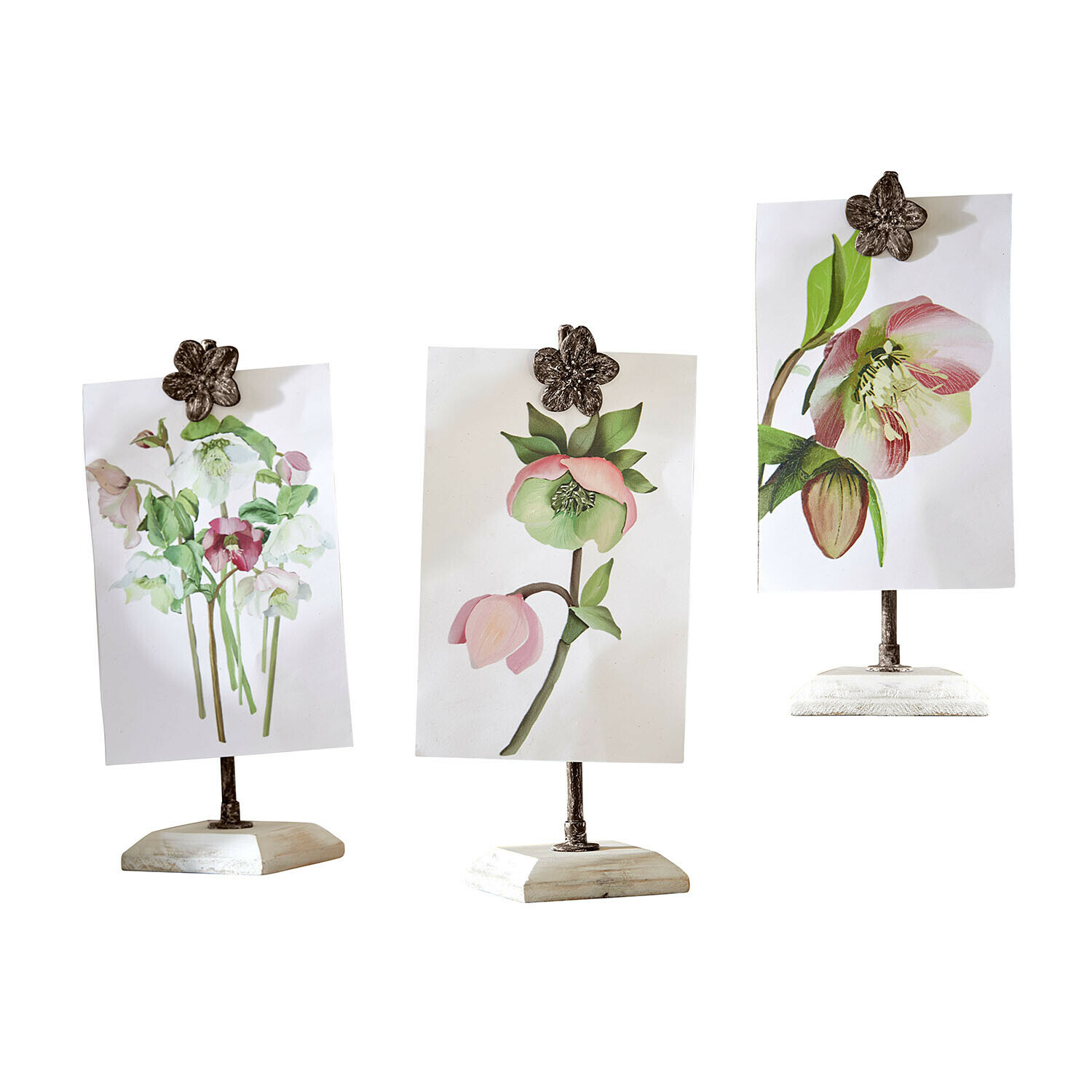 Lot de 3 images avec supports Serafinas
