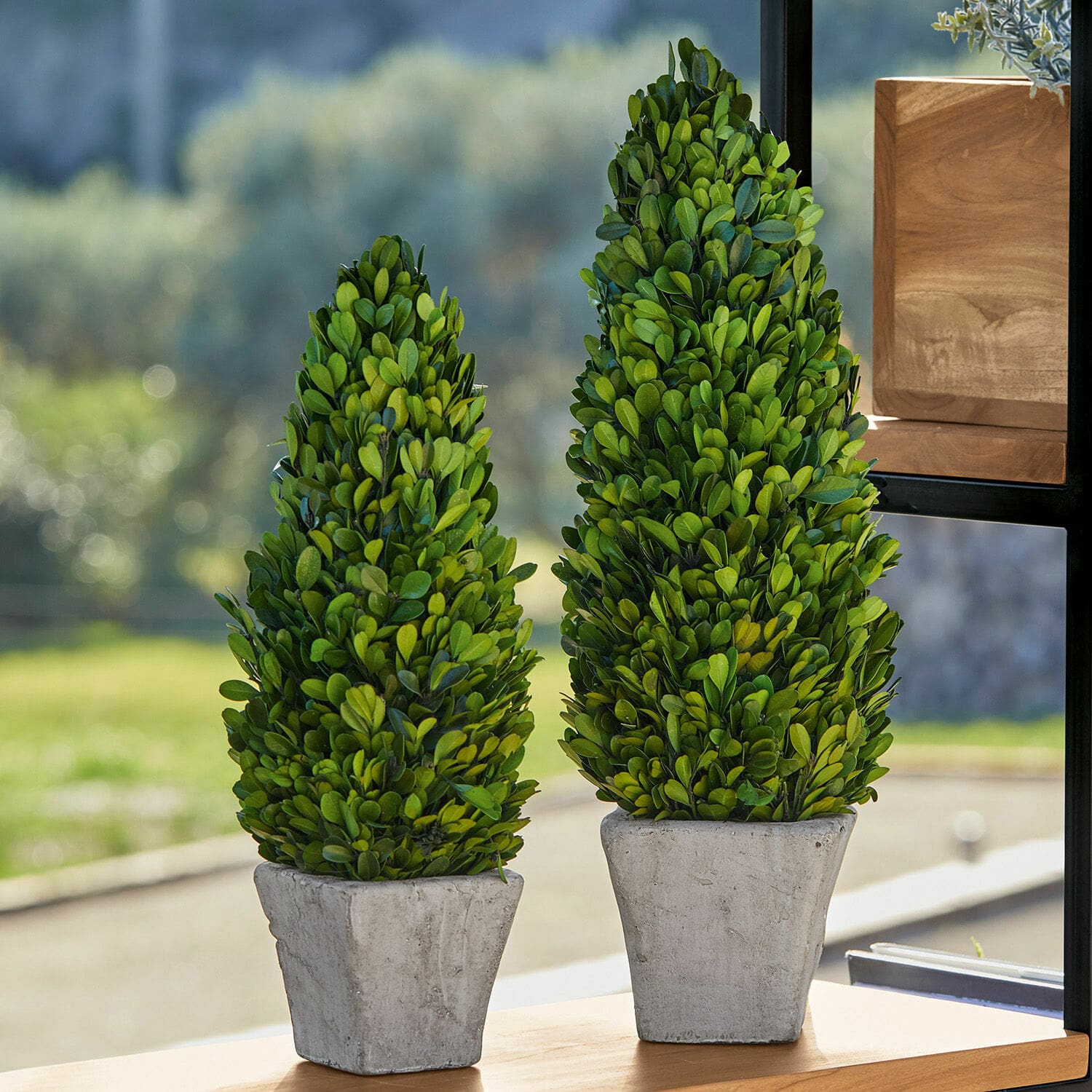 Lot de 2 arbres décoratifs Pierry