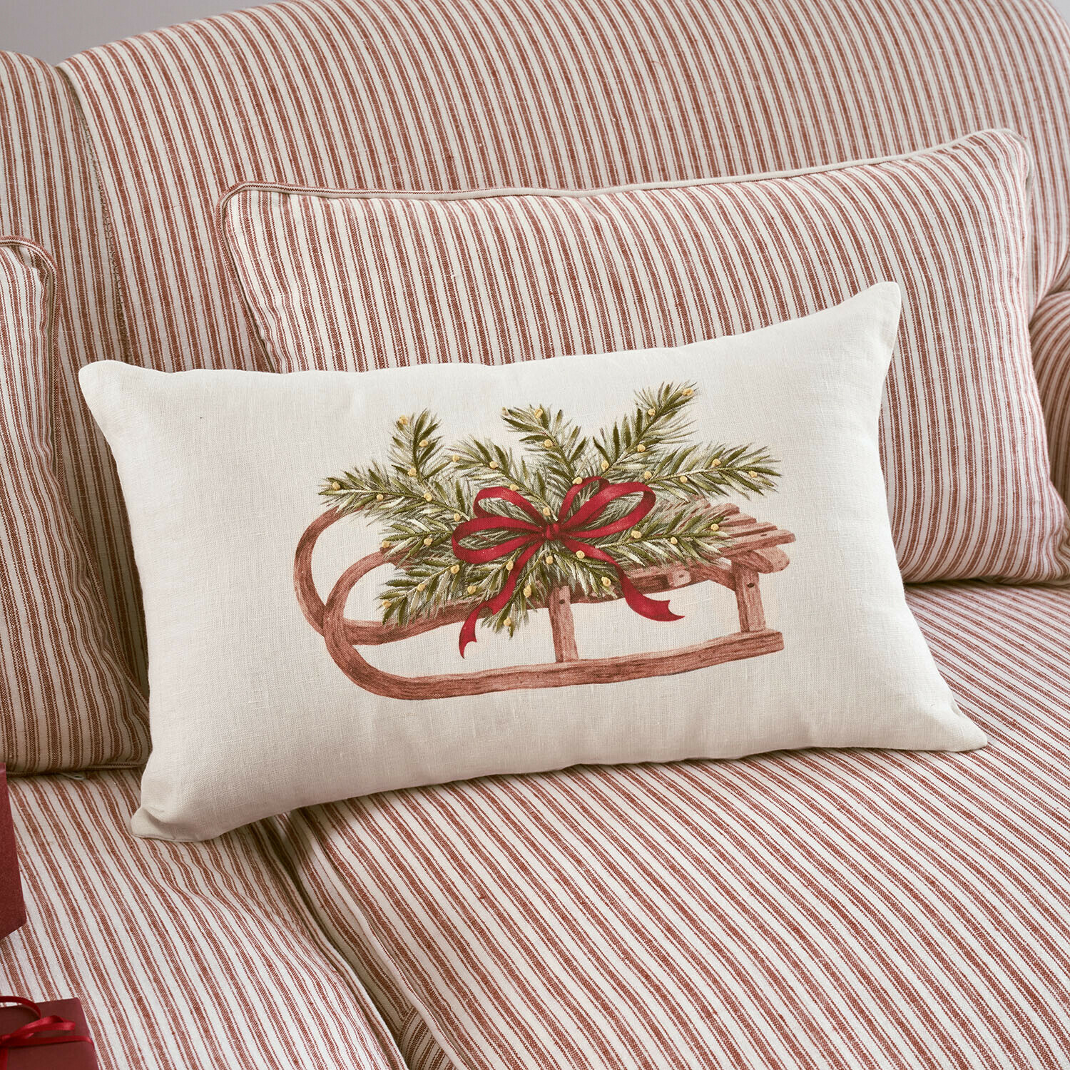Housse de coussin Babrie