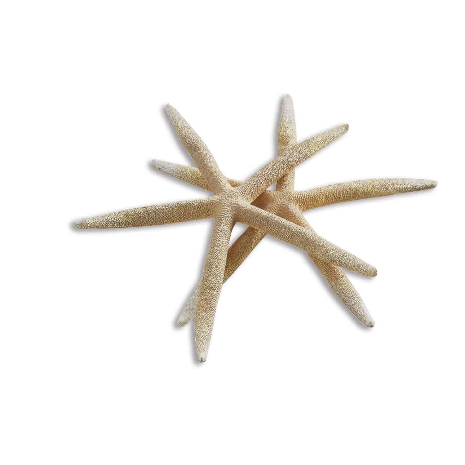 Lot de 2 étoiles de mer décoratives Divna