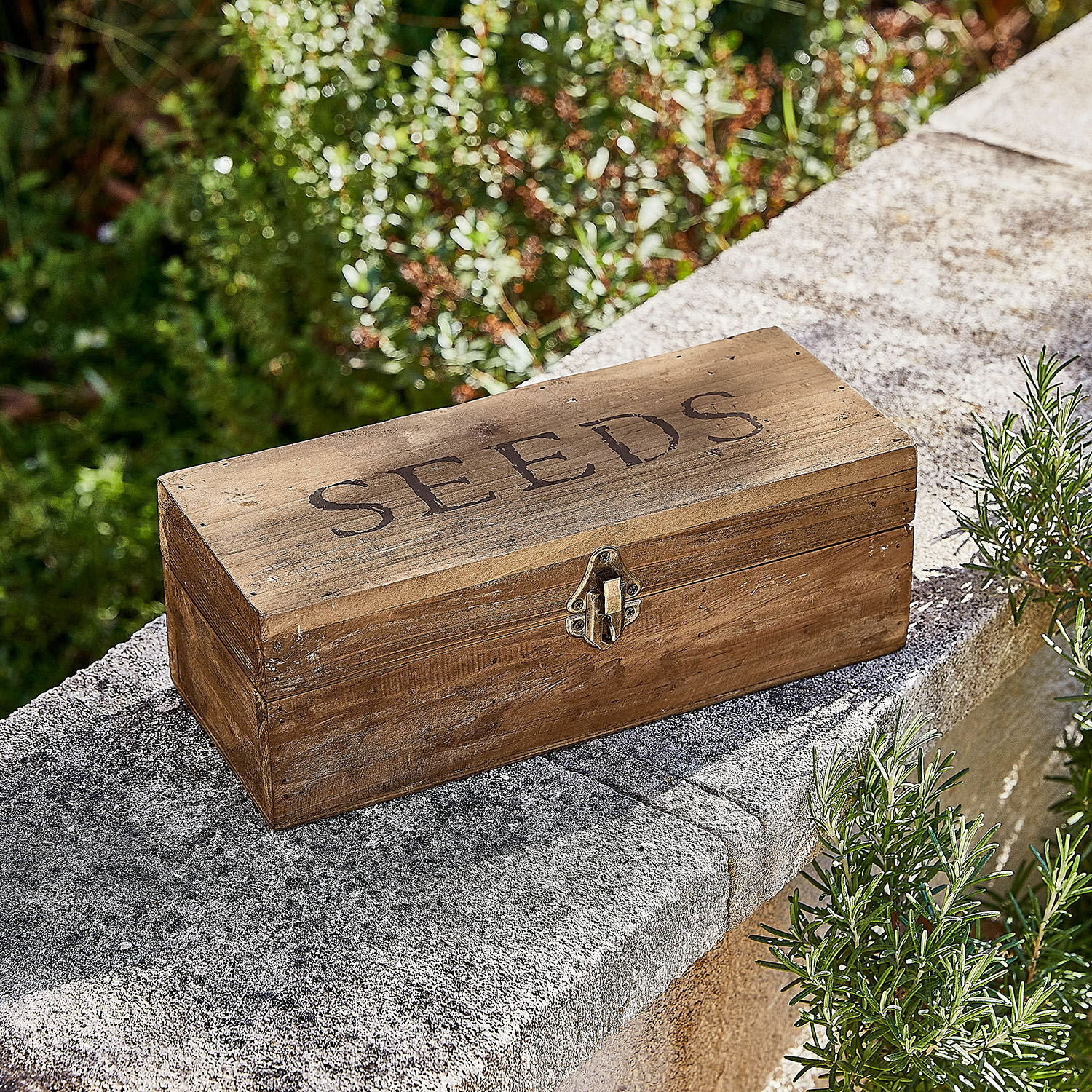 Boîte Jixel Boîte en bois pour graines avec fermeture métallique, couleur marron naturel, pour jardinage