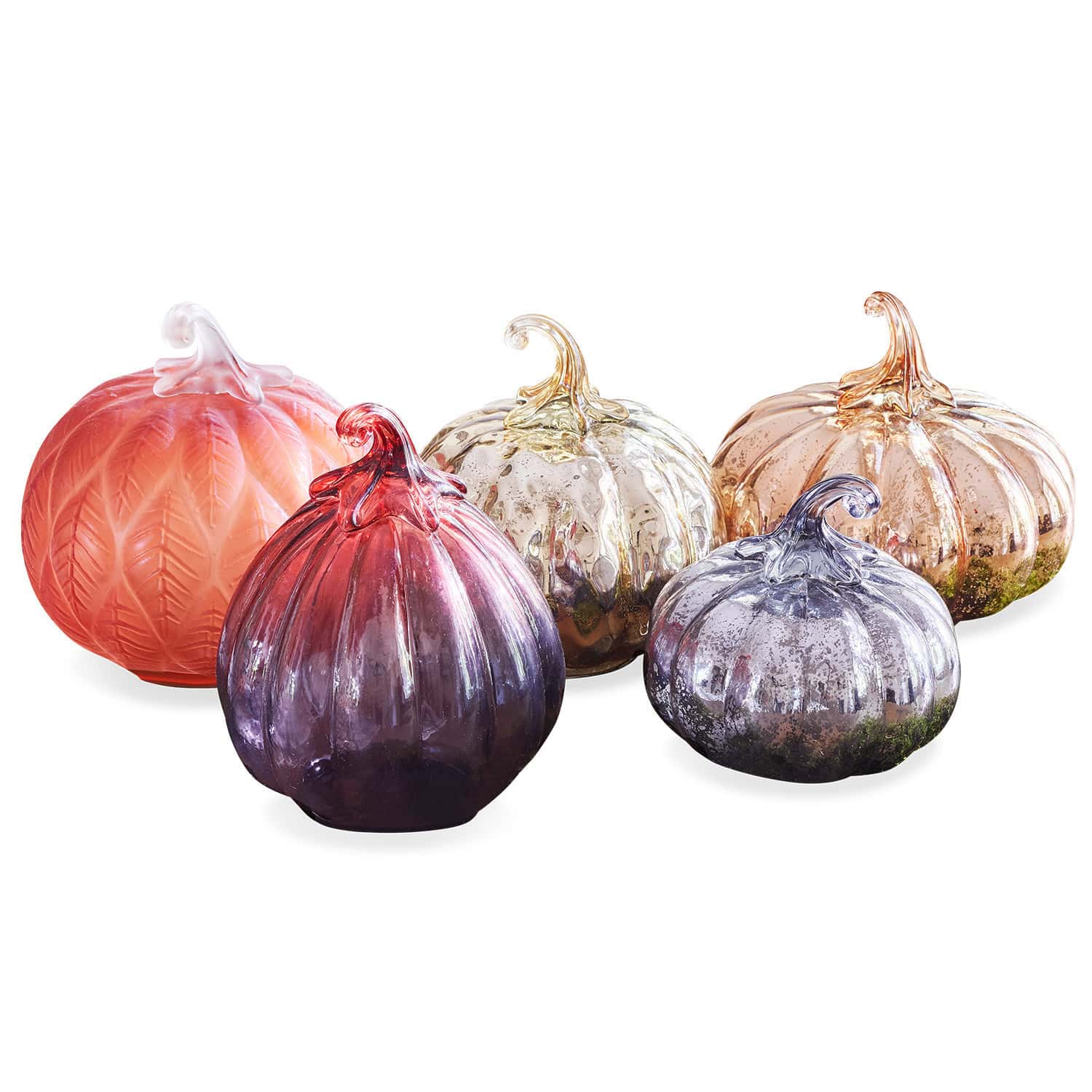 Lot de 5 citrouilles Lorenz