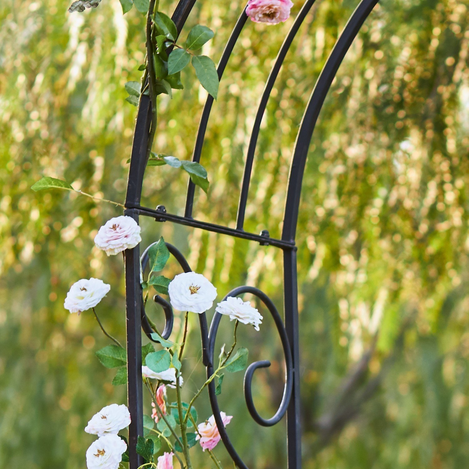 Arche à rosier Bertry