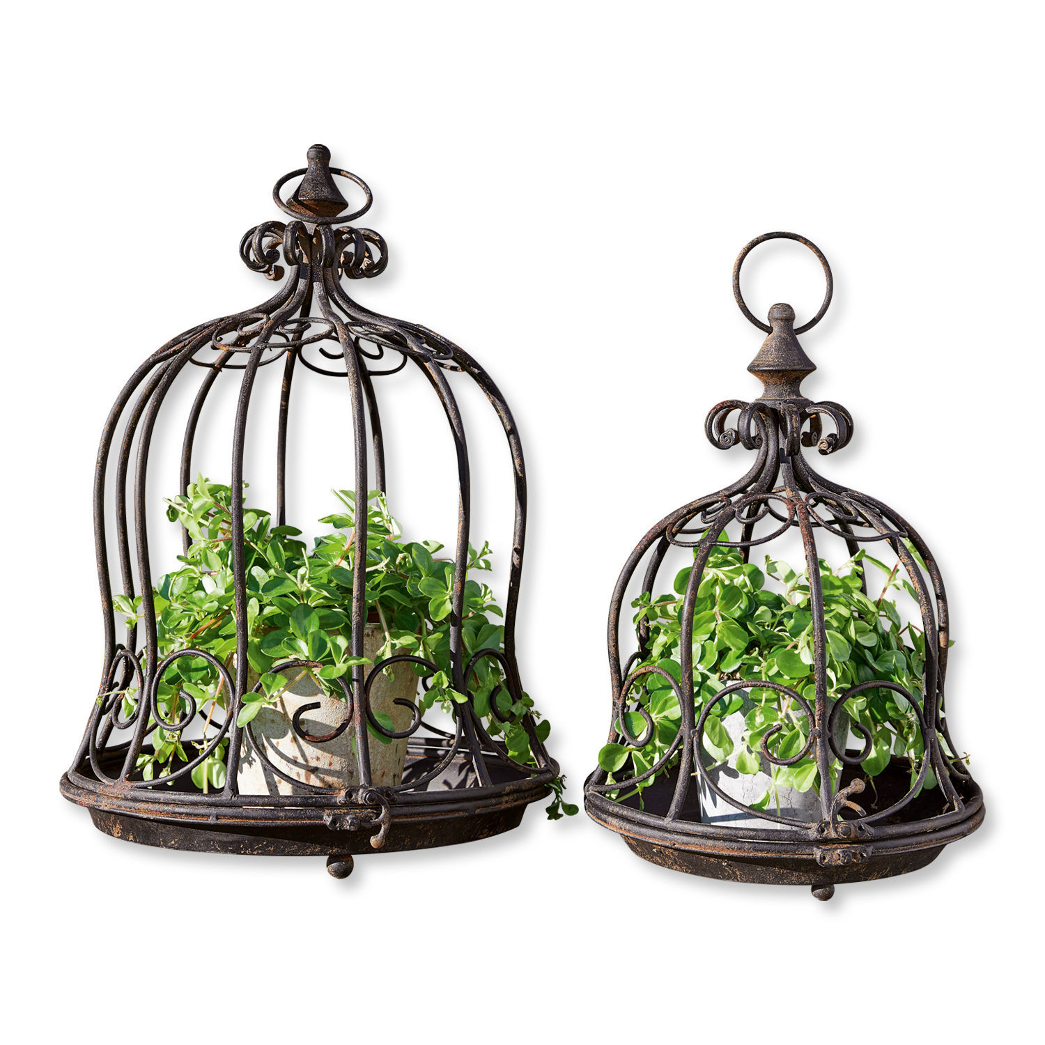 Ensemble de 2 supports à plantes noirs en métal Luisianne avec motif décoratif et pots avec feuillage vert