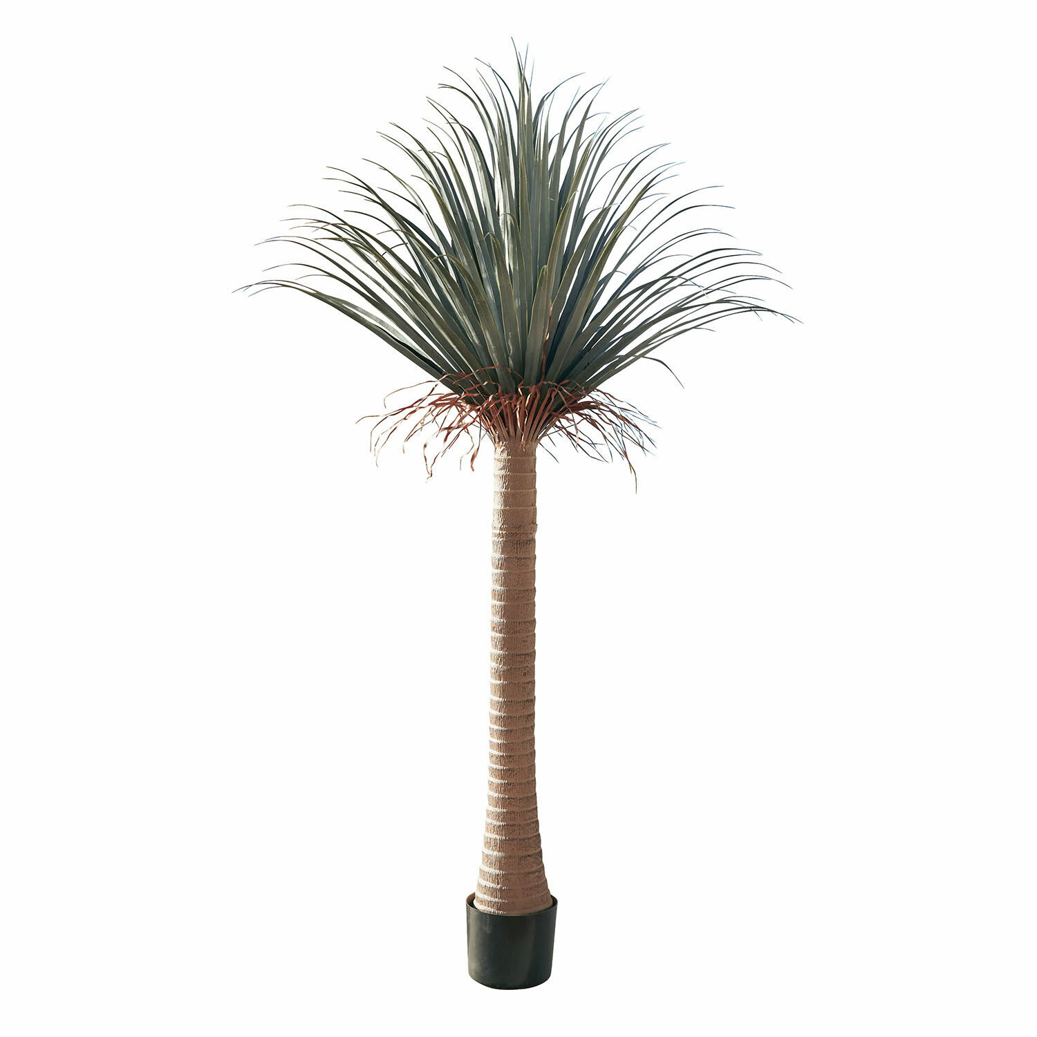 Palmier décoratif Remivon