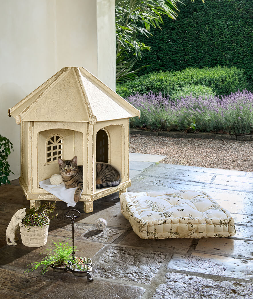Villa pour chat