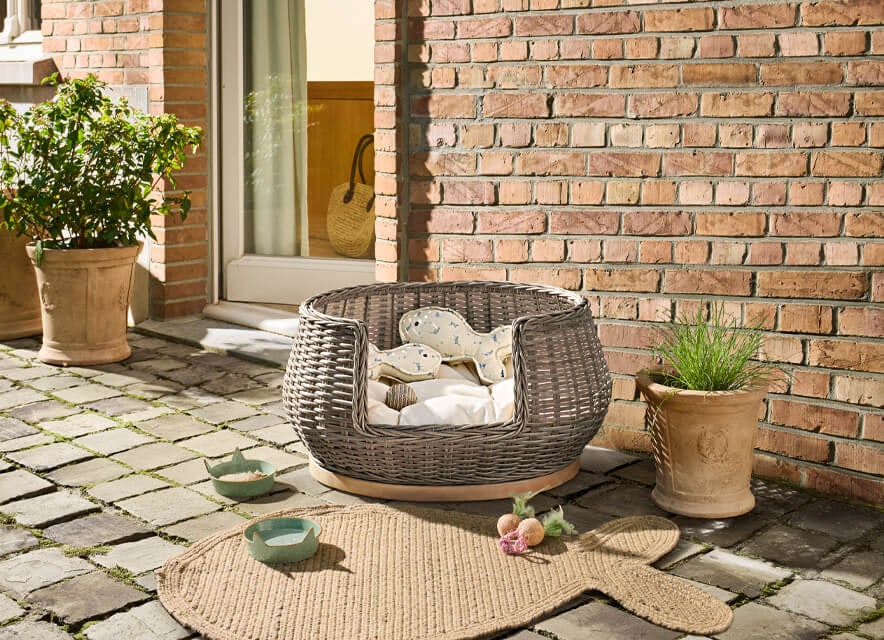 Cocon pour pattes de velours