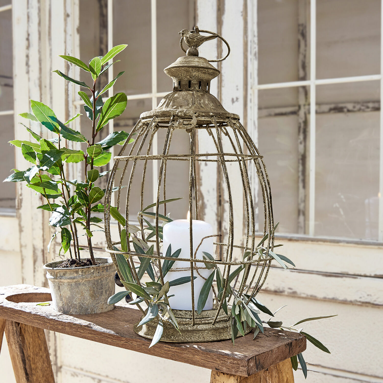 Lanterne Morena Lanterne décorative en métal en forme de cage avec bougie blanche et feuilles vertes sur table en bois