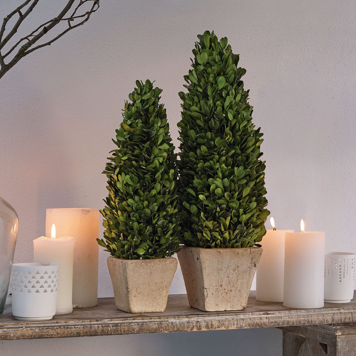 Lot de 2 arbres décoratifs Pierry