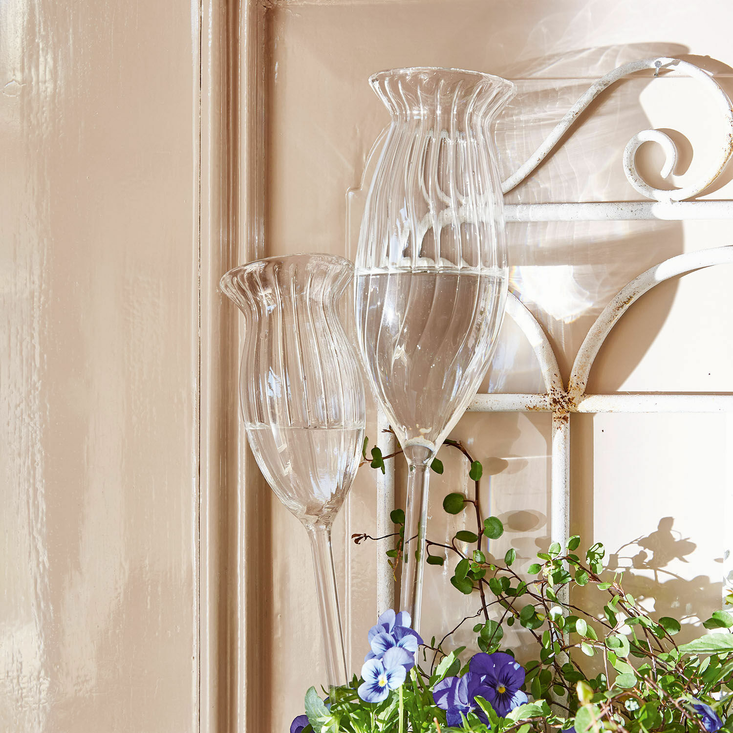 Lot de 2 bulles d’arrosage Radisa Décorations de jardin en verre transparent avec eau et fleurs violettes devant un mur beige