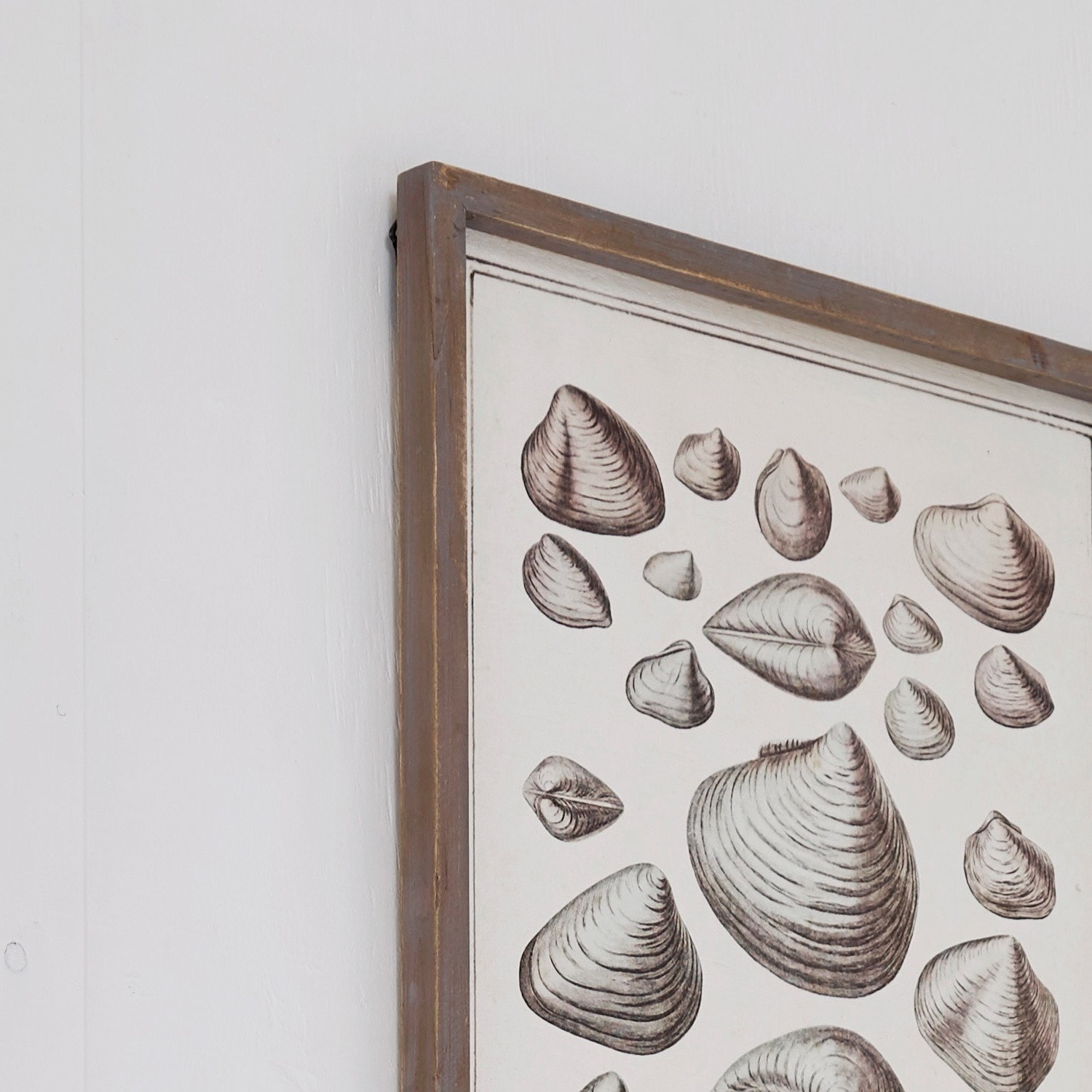 Lot de 2 tableaux Semson