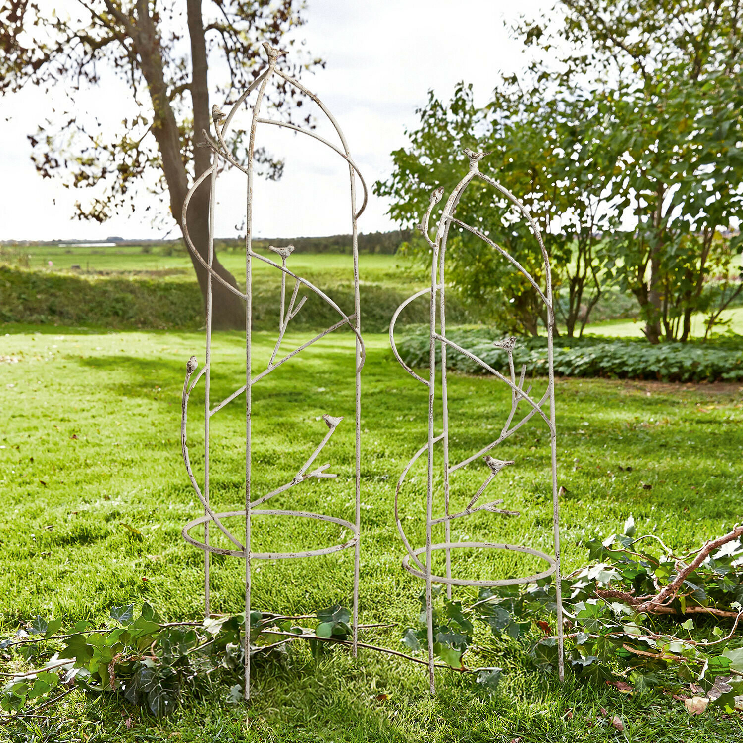 Lot de 2 treillages Cresselay Pergola de jardin en métal blanc avec décorations d'oiseaux, support idéal pour plantes grimpantes