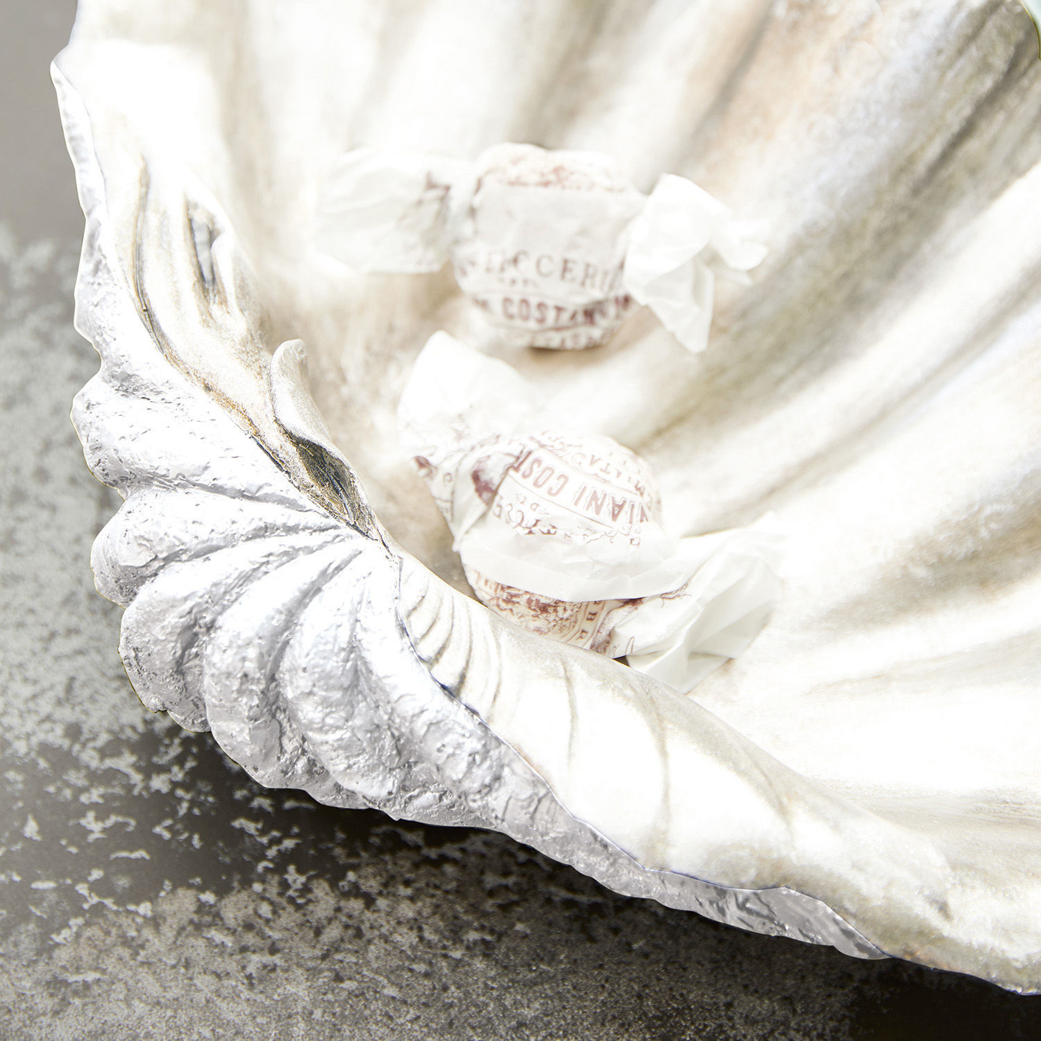 Coquillage Attila