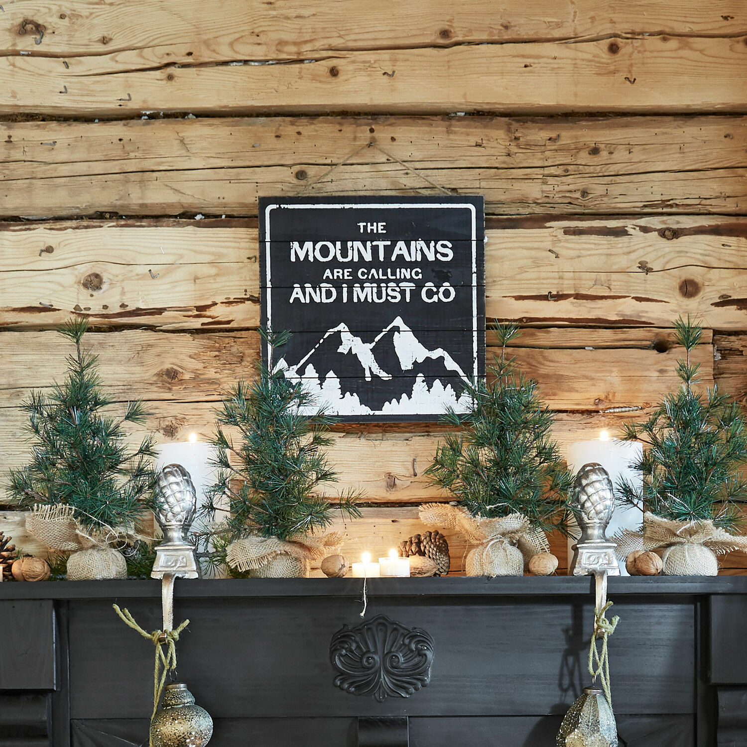 Panneau décoratif Mountain