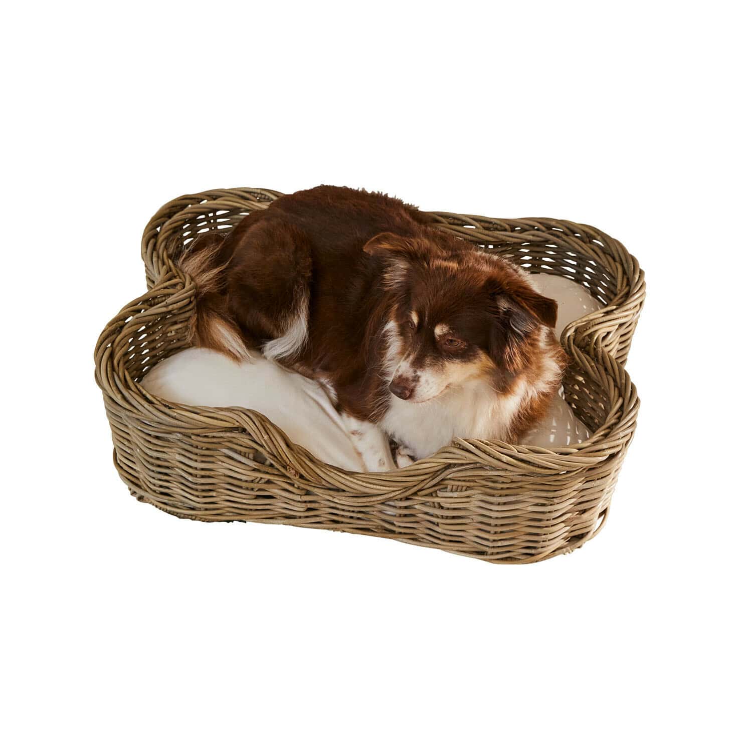 Panier pour animaux Ninloo