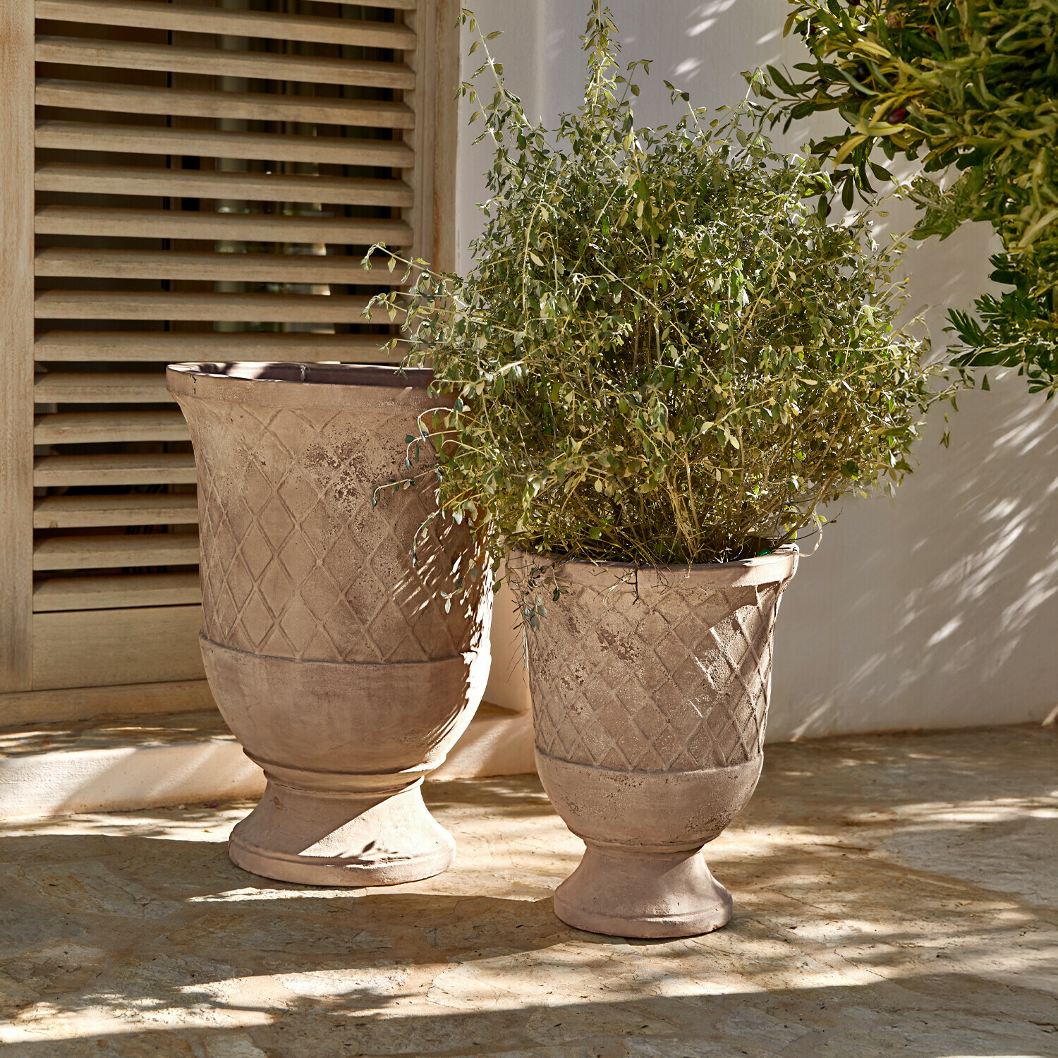 Deux pots en terre cuite beige avec motif géométrique, l’un avec plante verte, sur une terrasse ensoleillée