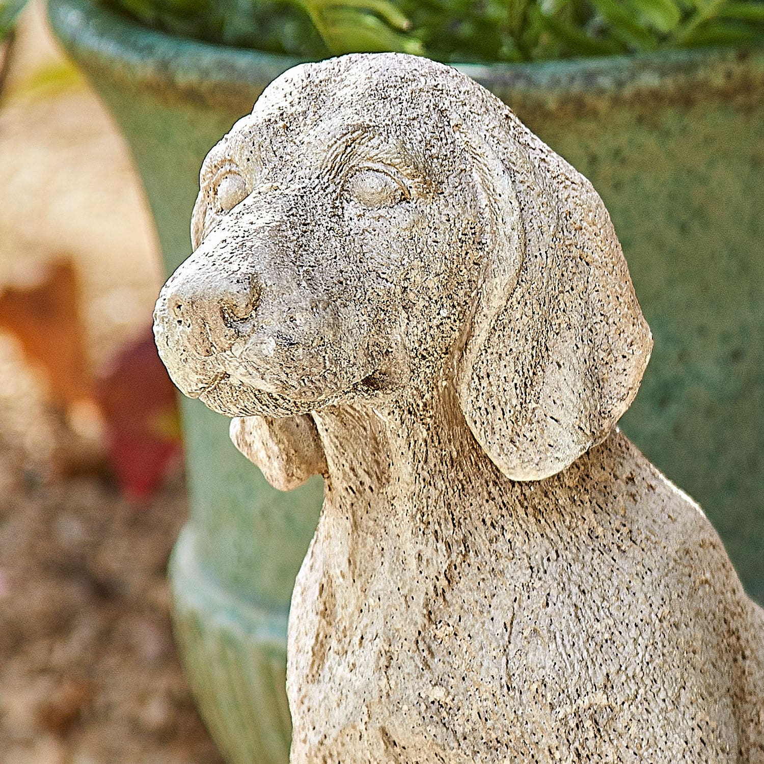 Chien décoratif Albinor