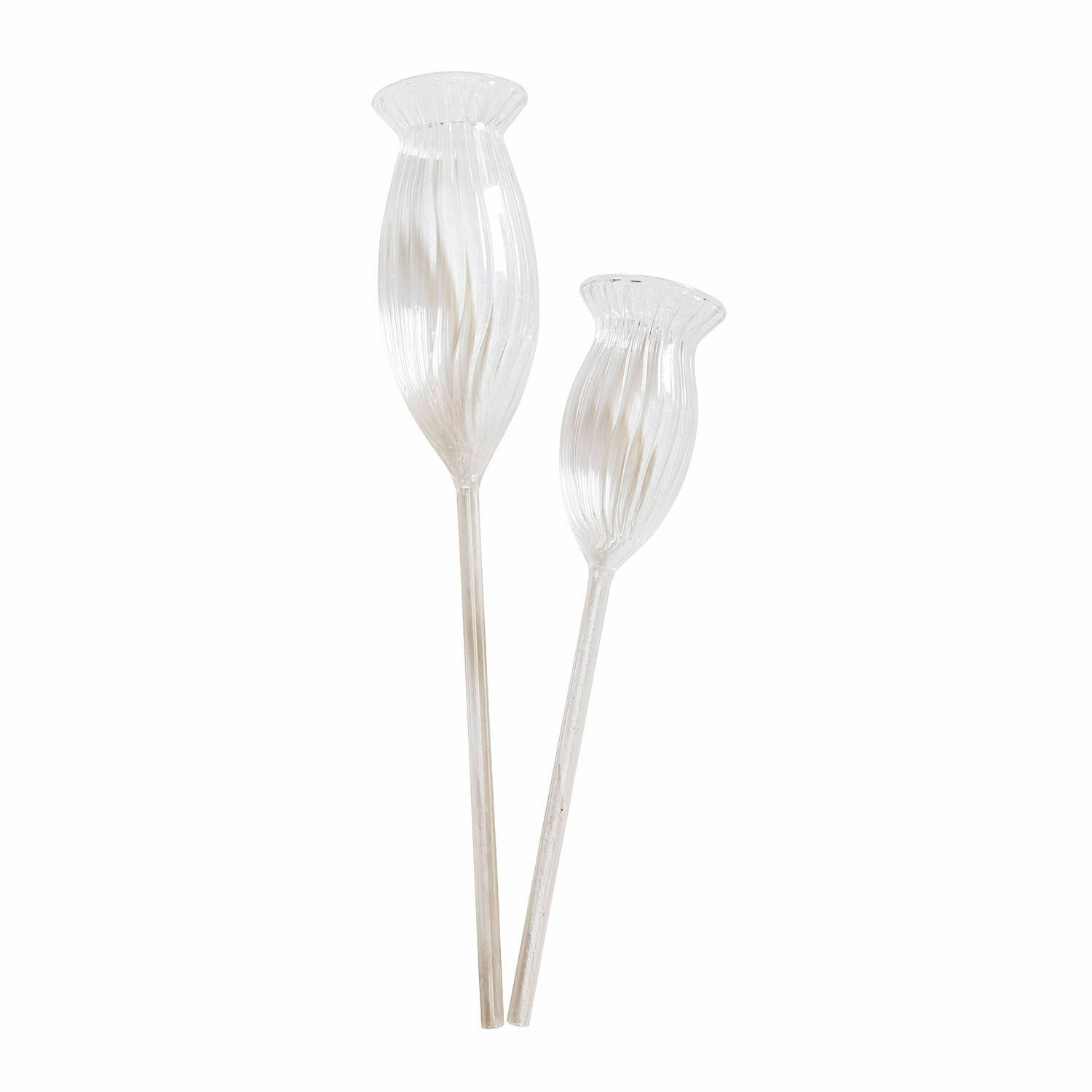 Lot de 2 bulles d’arrosage Radisa Fleurs décoratives en verre transparent pour décoration intérieure et aménagement de maison