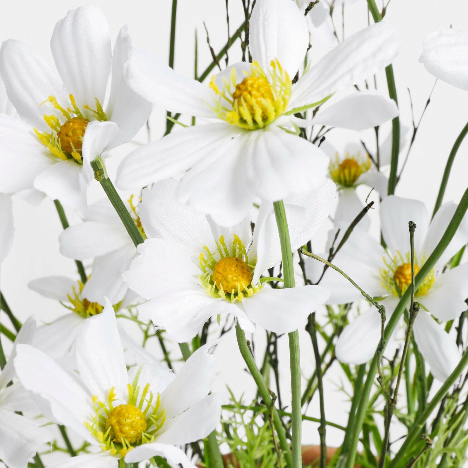 Plante en pot décorative Harmoise