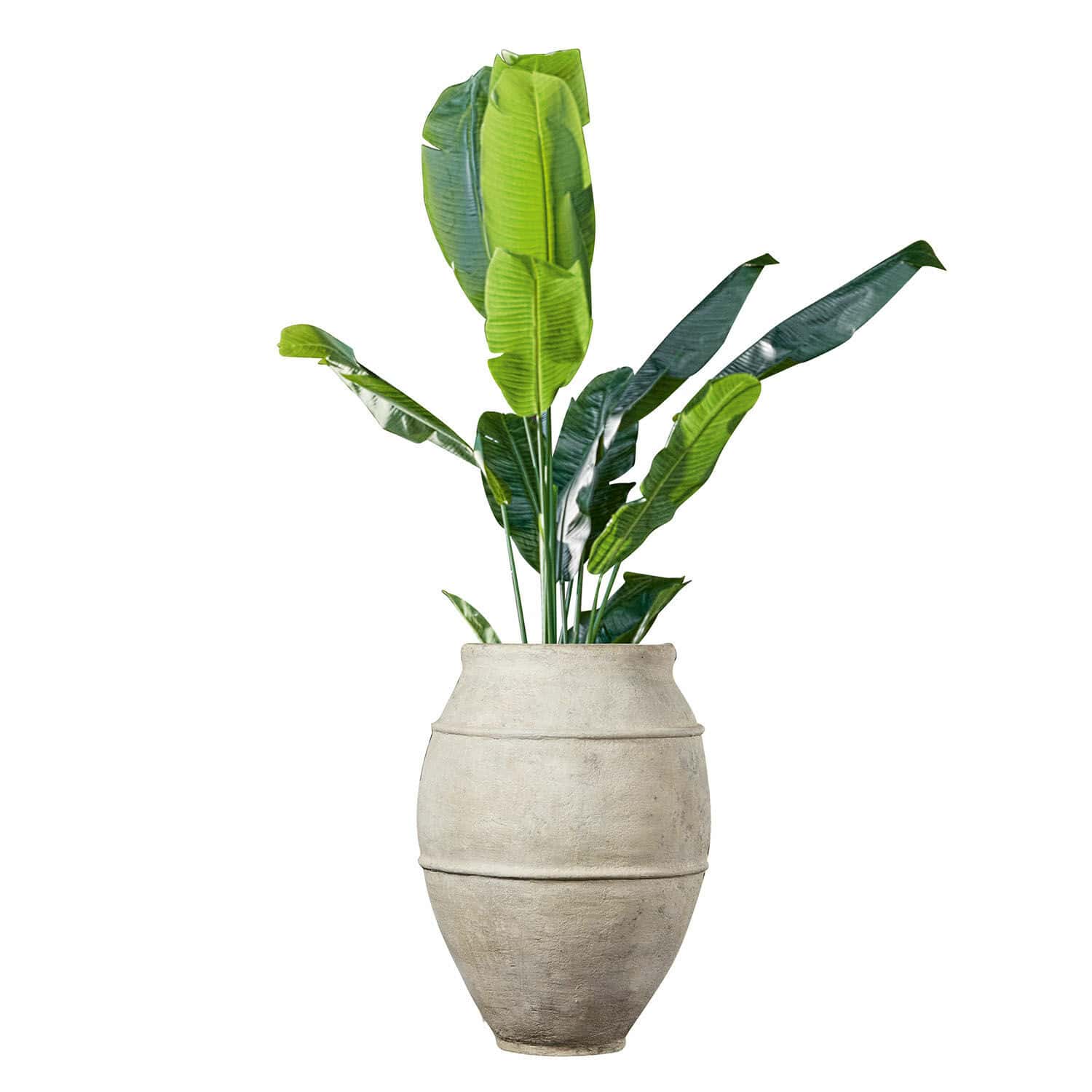 Cache-pot Morcote