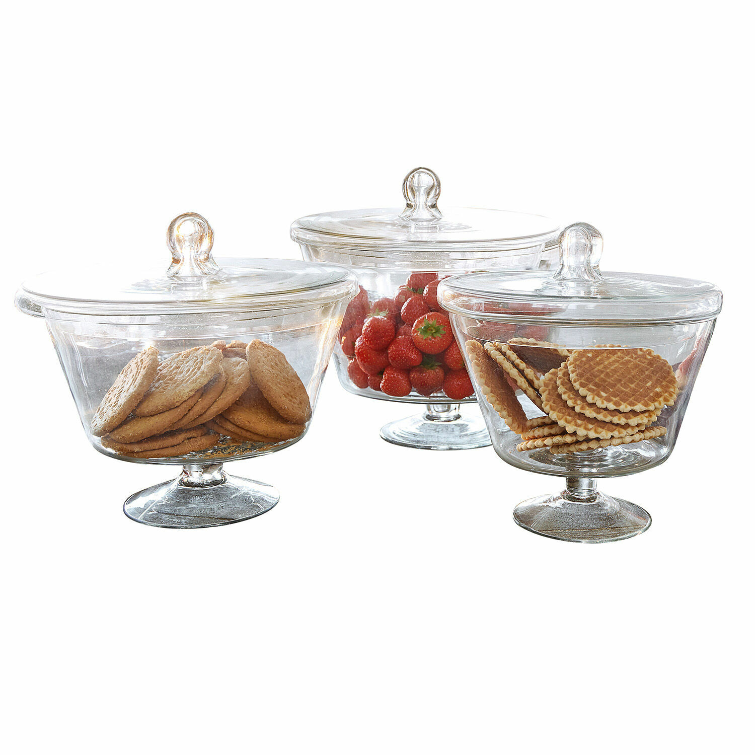 Lot de 3 pots Elliant