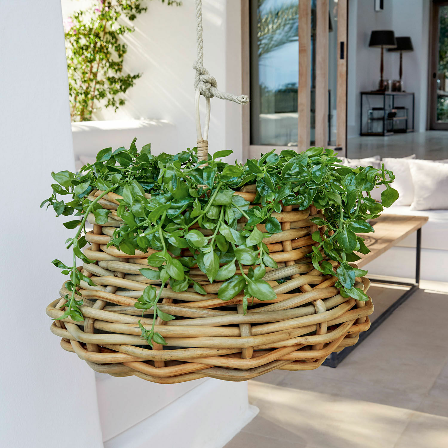 Corbeille à suspendre Villaz Panier suspendu en rotin naturel avec plantes vertes pour décoration intérieure et extérieure