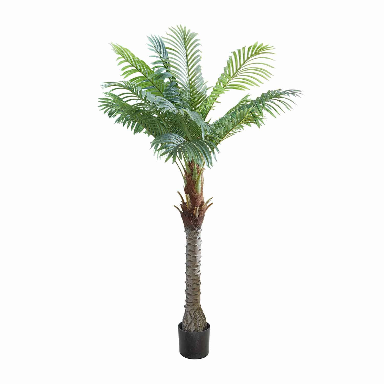 Plante décorative en pot Zephyriel