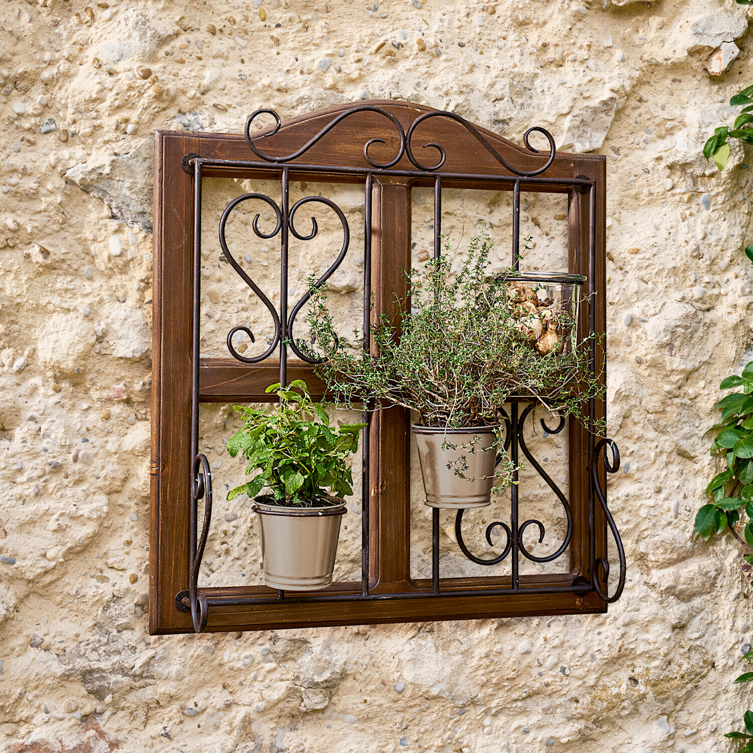 Porte-plantes Nectarise
