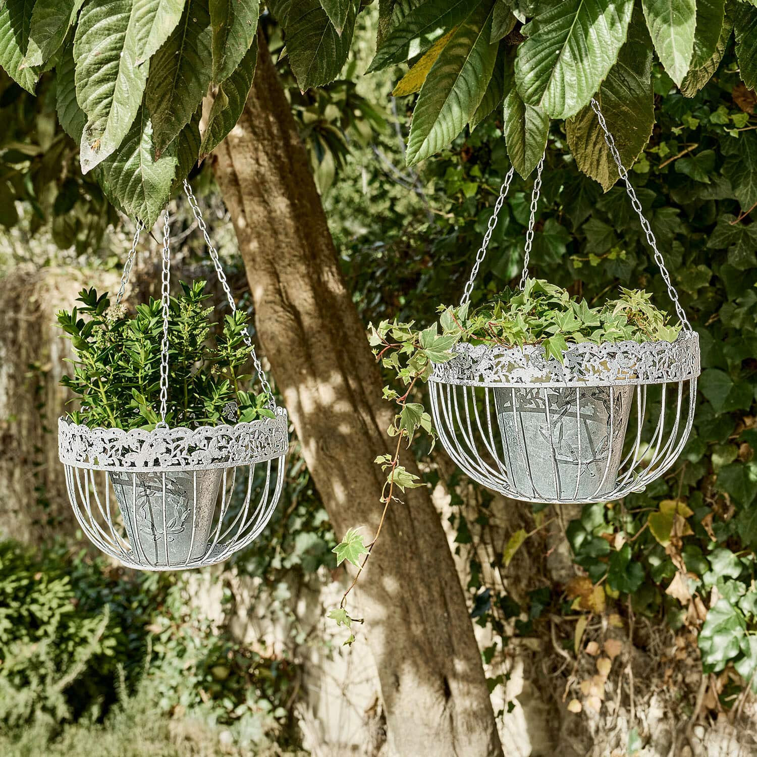 Lot de deux corbeilles à suspendre Iveralia Deux paniers suspendus en métal blanc avec des plantes vertes dans un jardin ensoleillé