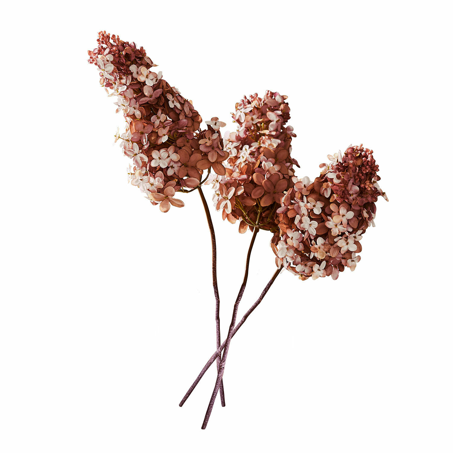 Lot de 3 fleurs décoratives Ylvi Trois branches de fleurs séchées roses et blanches pour décoration intérieure élégante