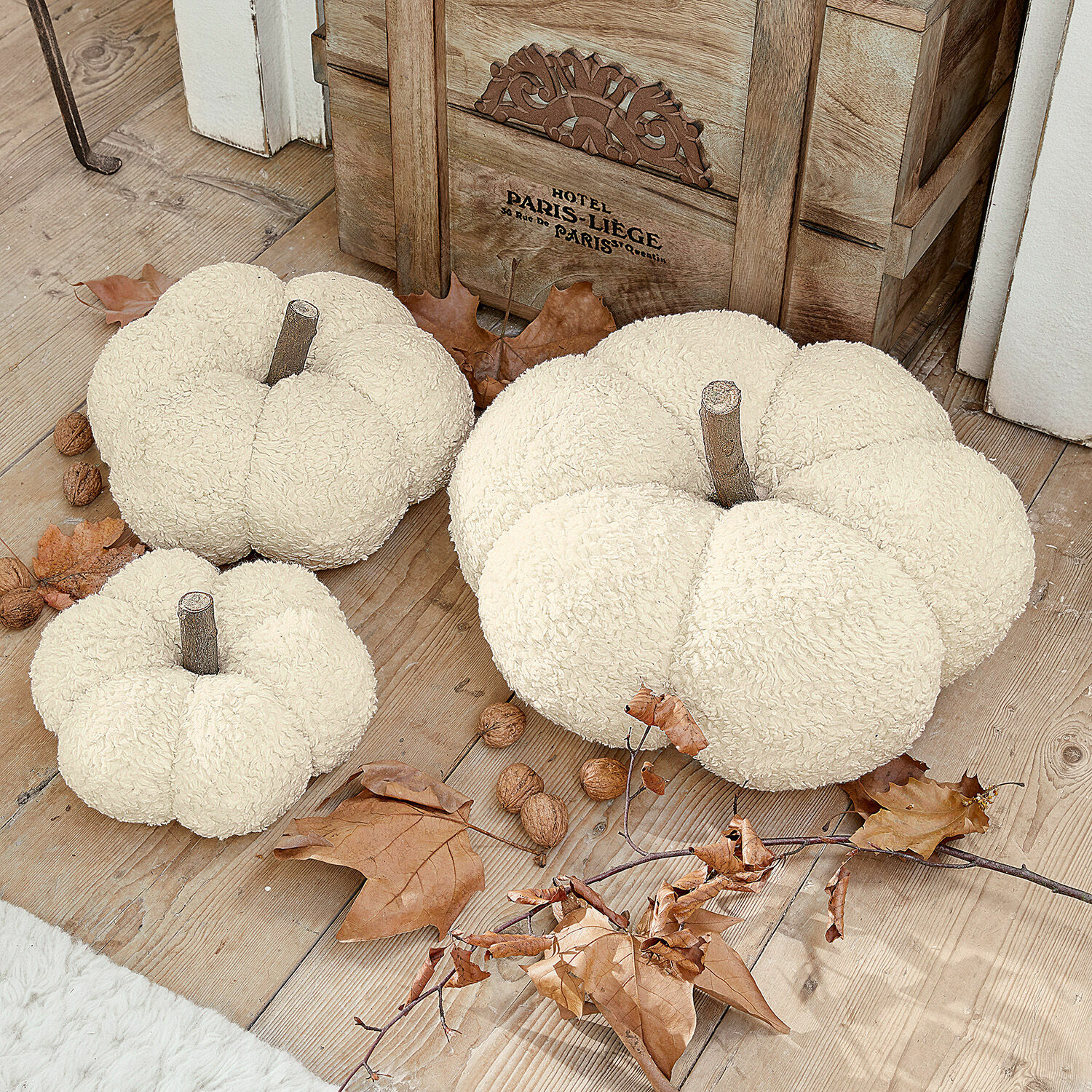 Lot de 3 citrouilles Benjamin