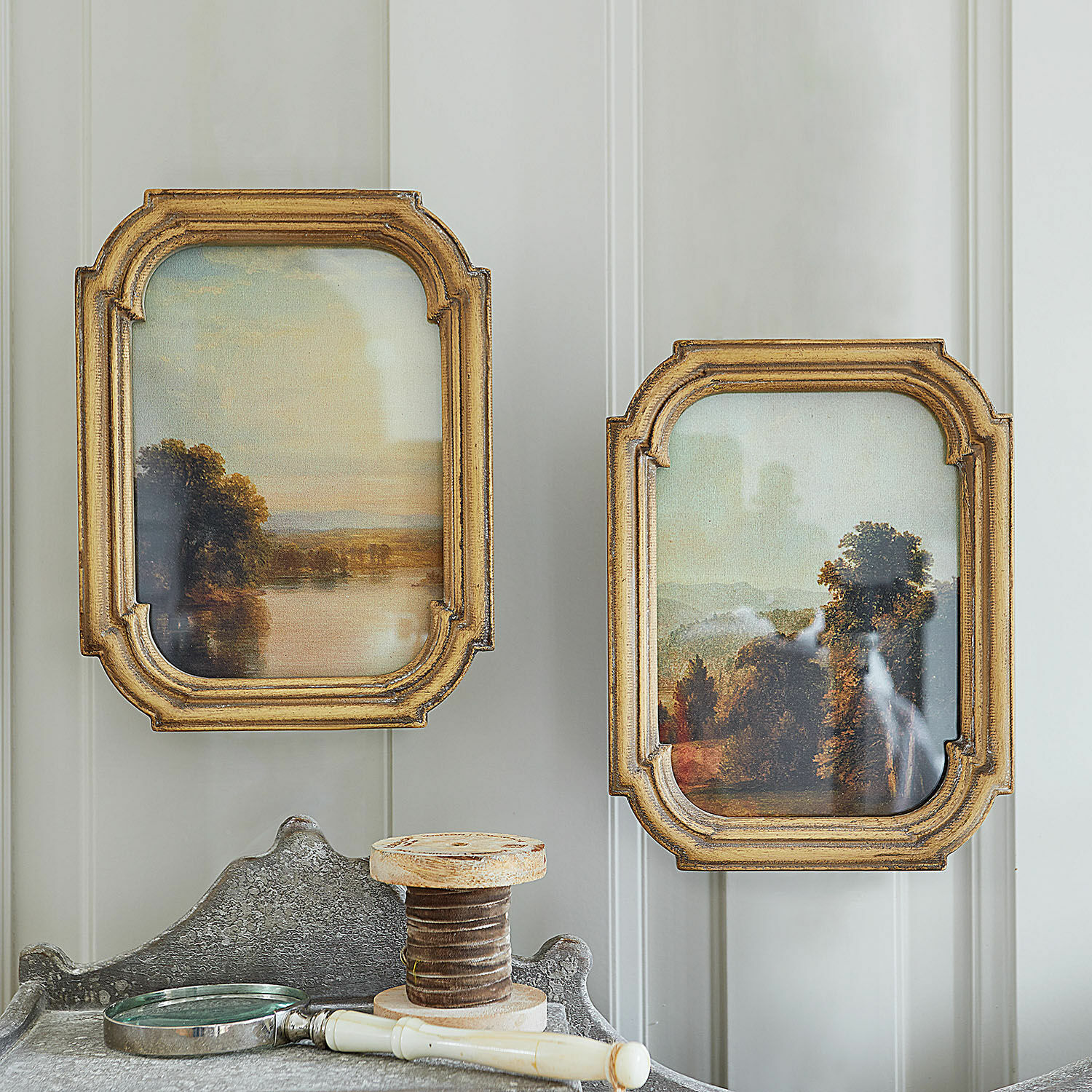 Lot de 2 tableaux Fleuroix