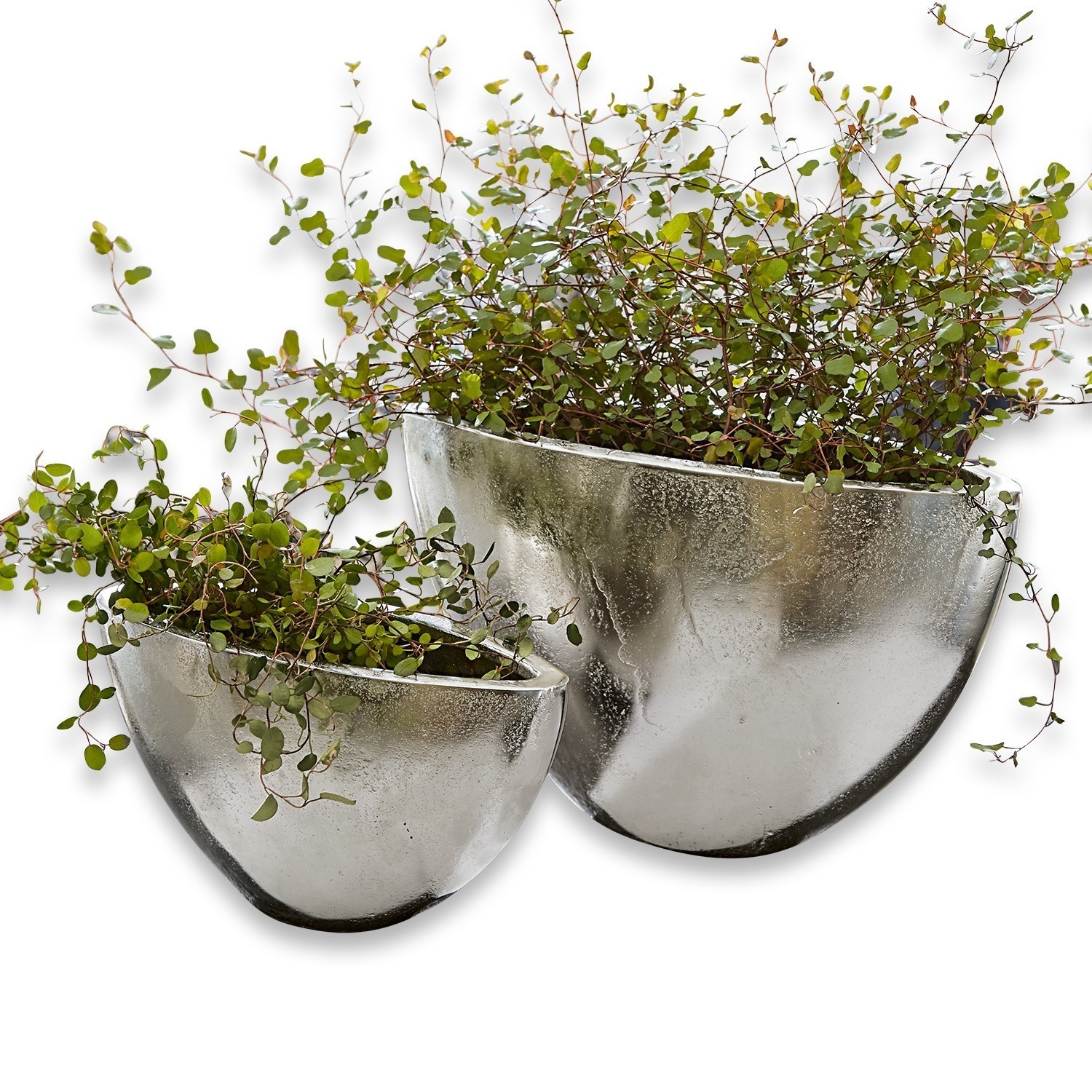 Lot de 2 cache-pots Suré