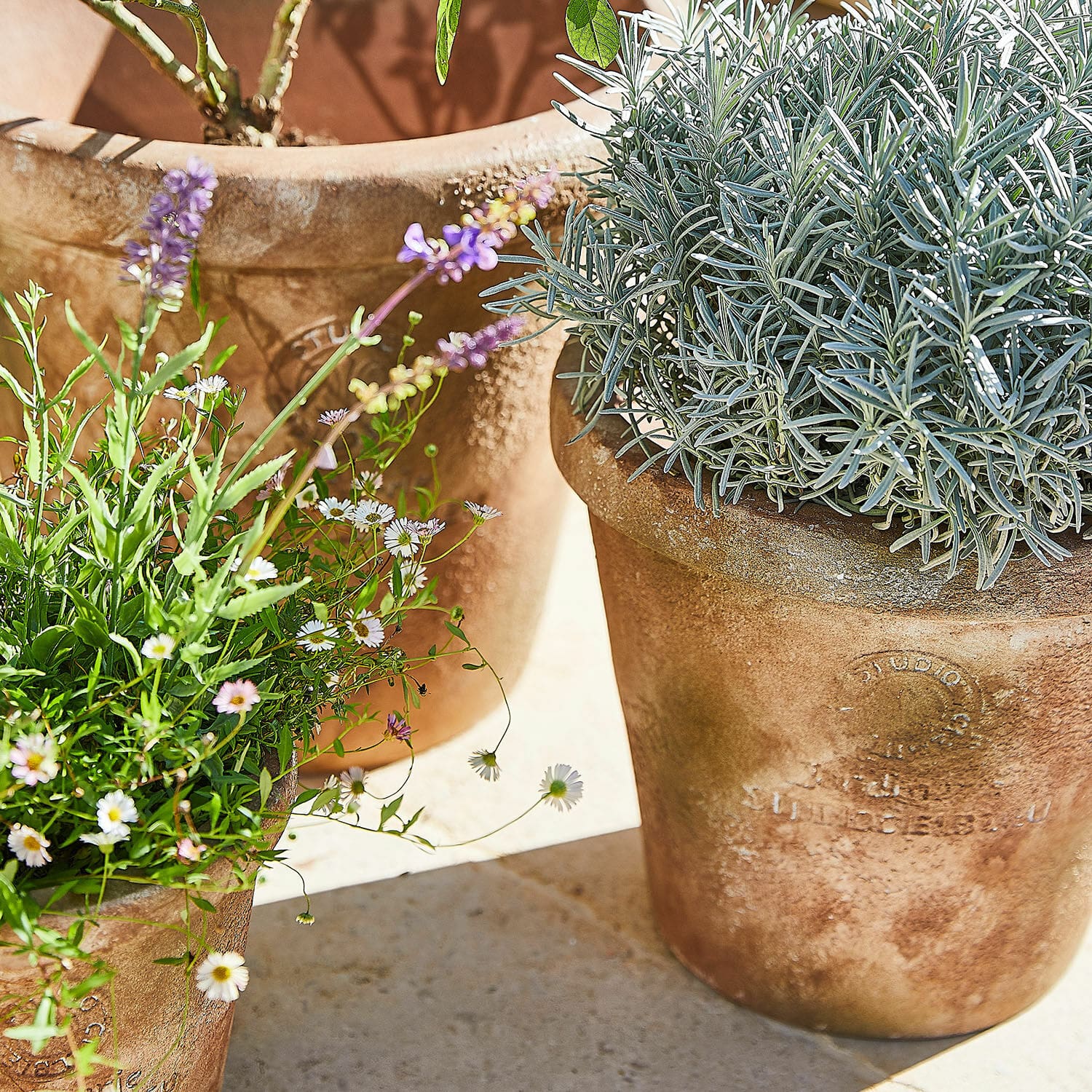 Lot de 3 cache-pots Ameliro